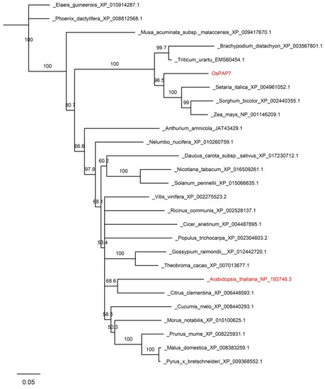 Agronomy 13 01424 g0a3
