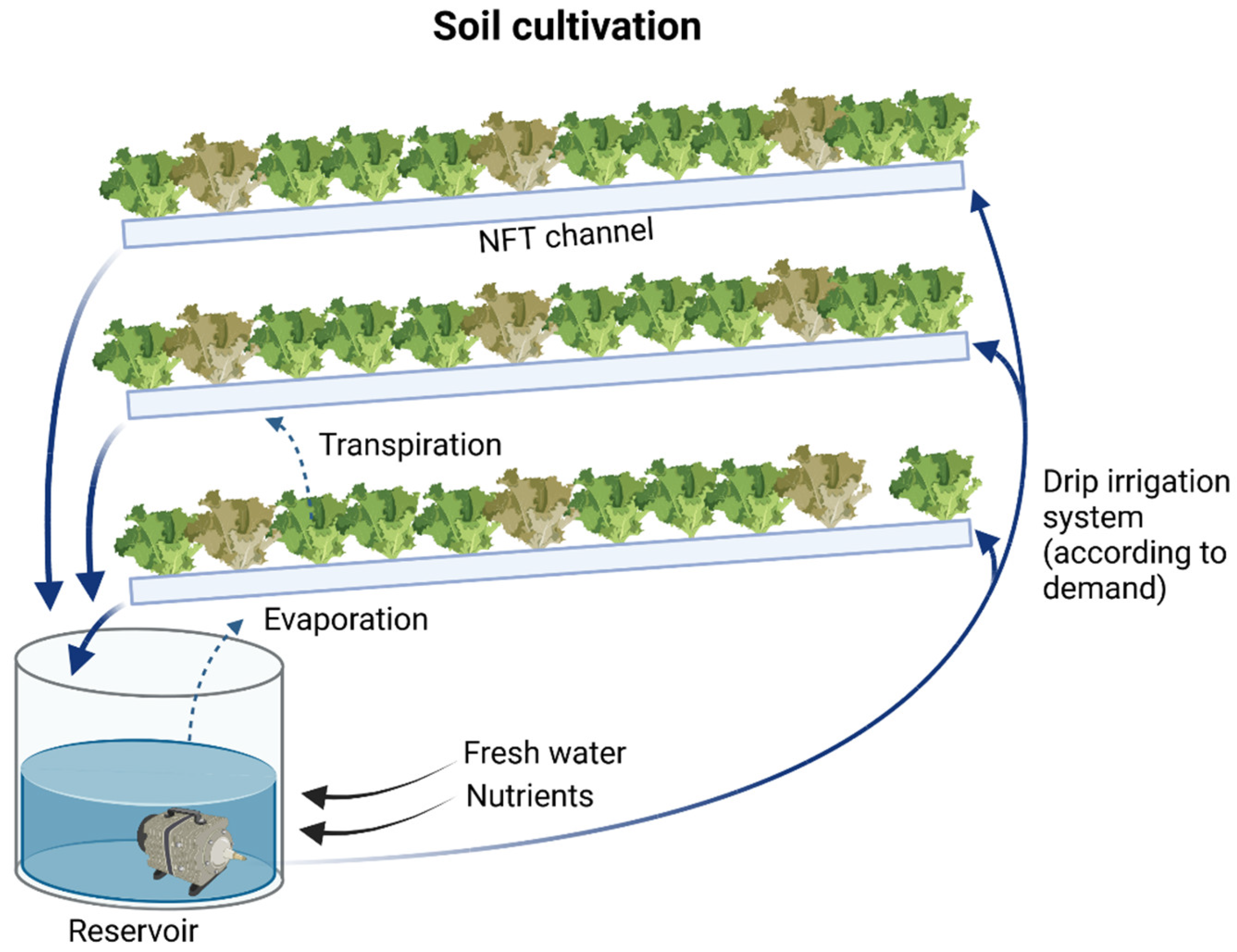 Agronomy 13 01436 g003 Agronomy 13 01436 g003