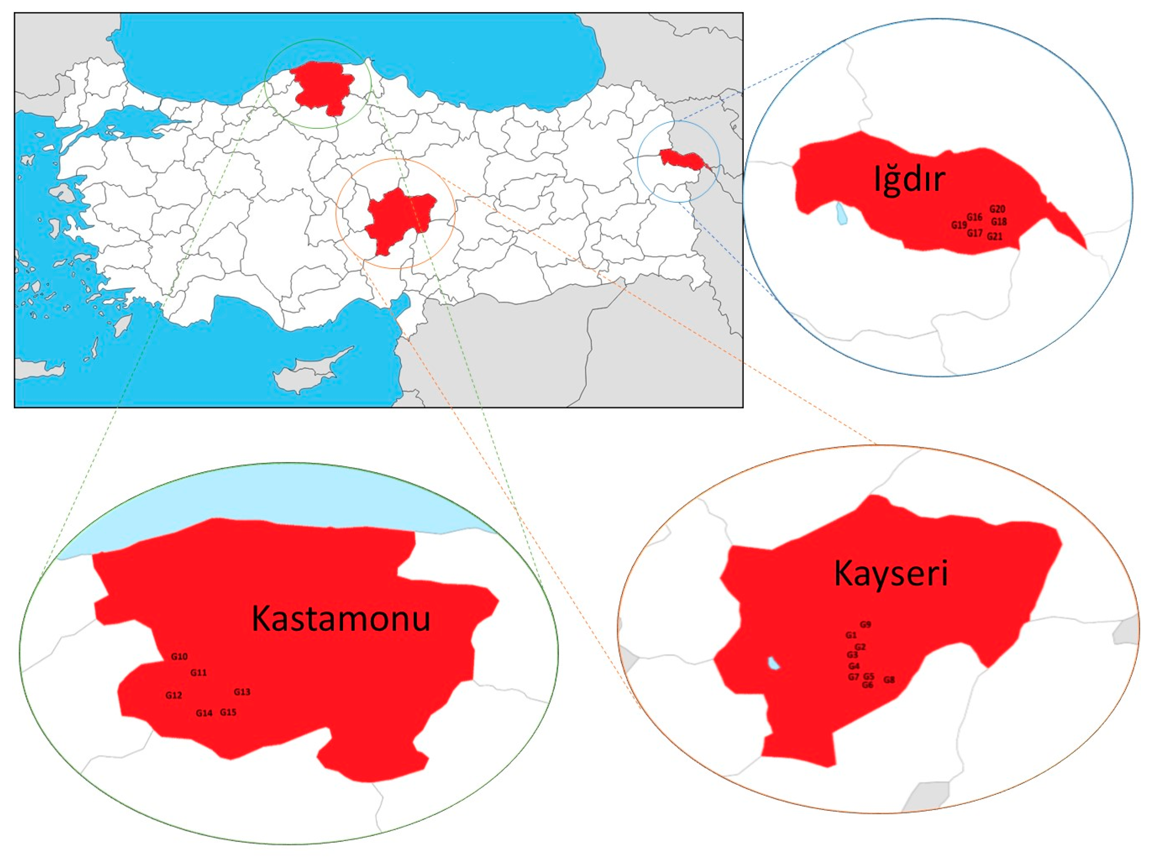 Agronomy 13 01438 g001