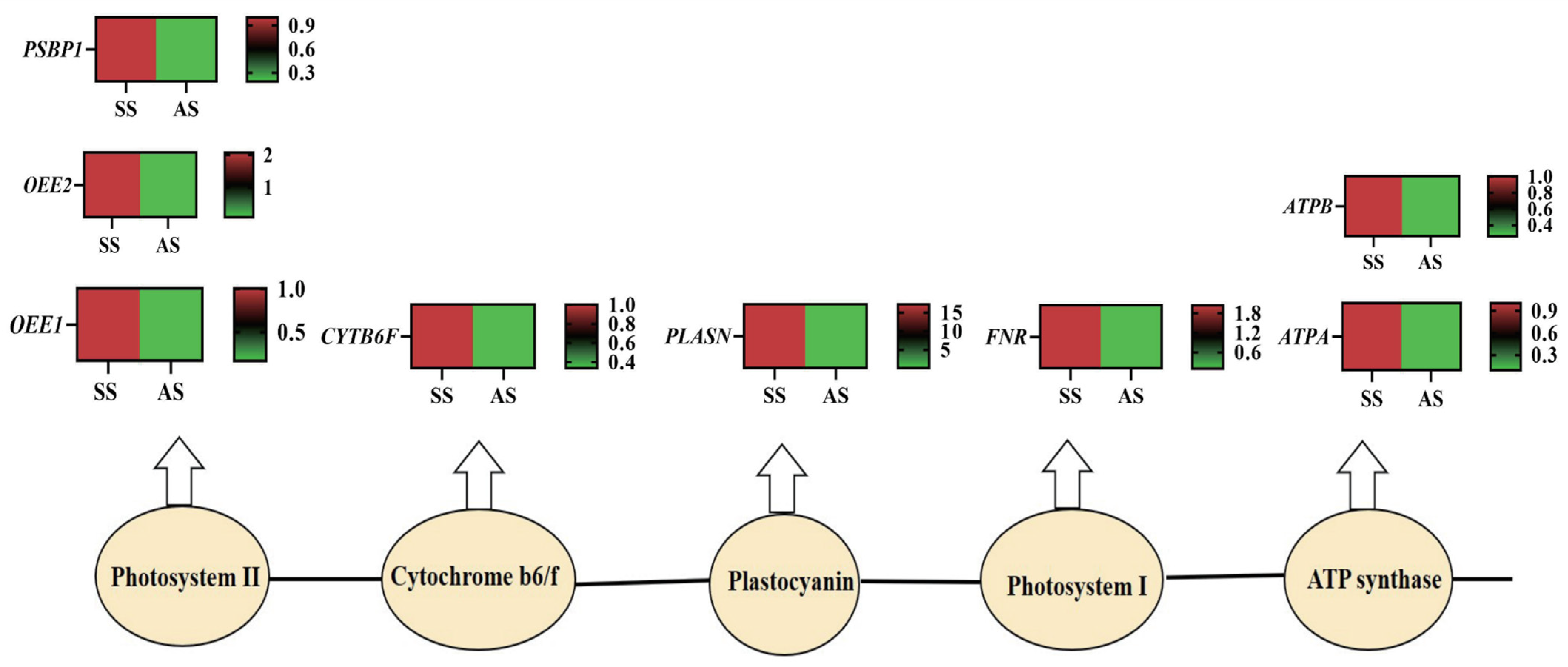 Agronomy 13 01441 g001