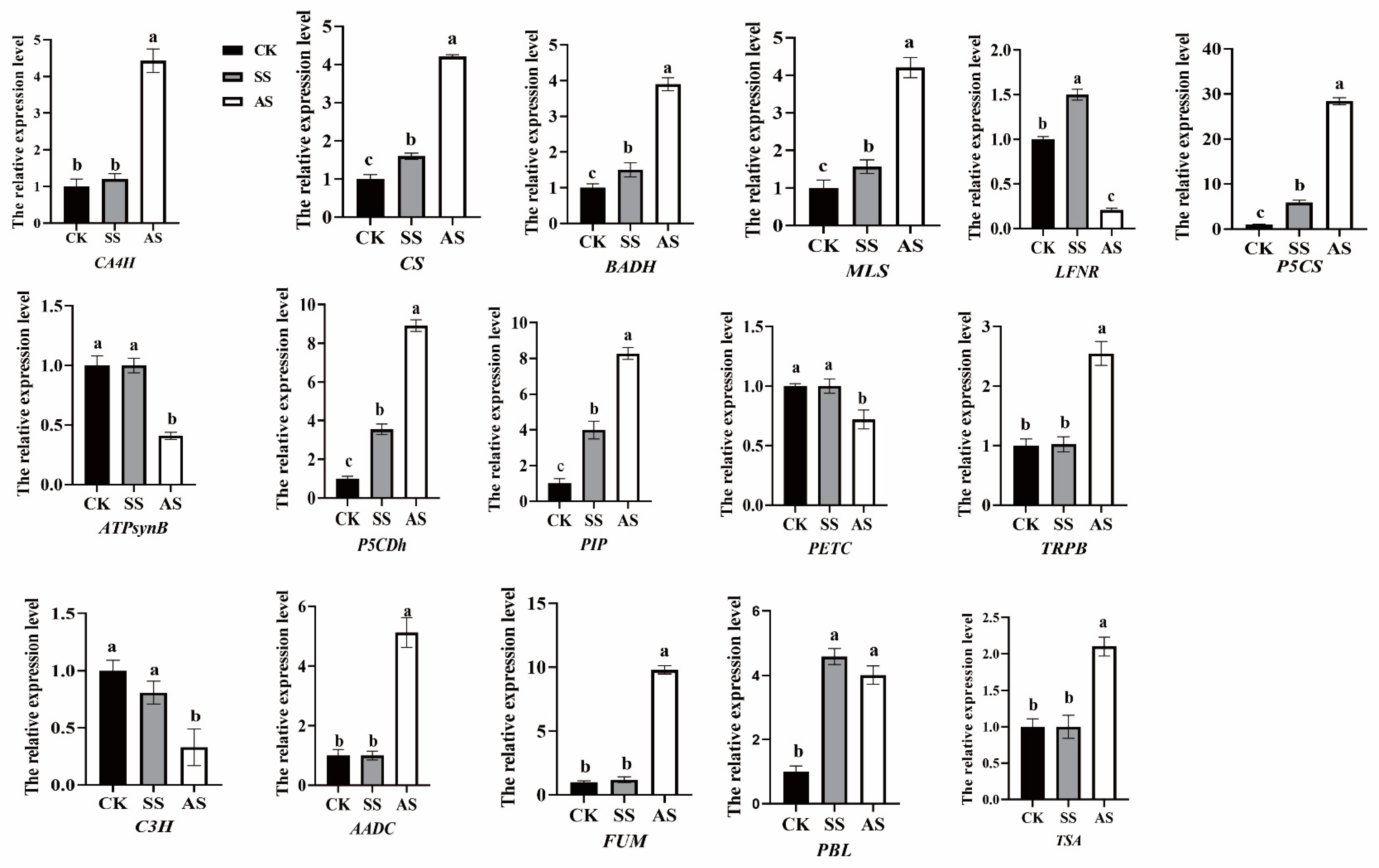 Agronomy 13 01441 g006