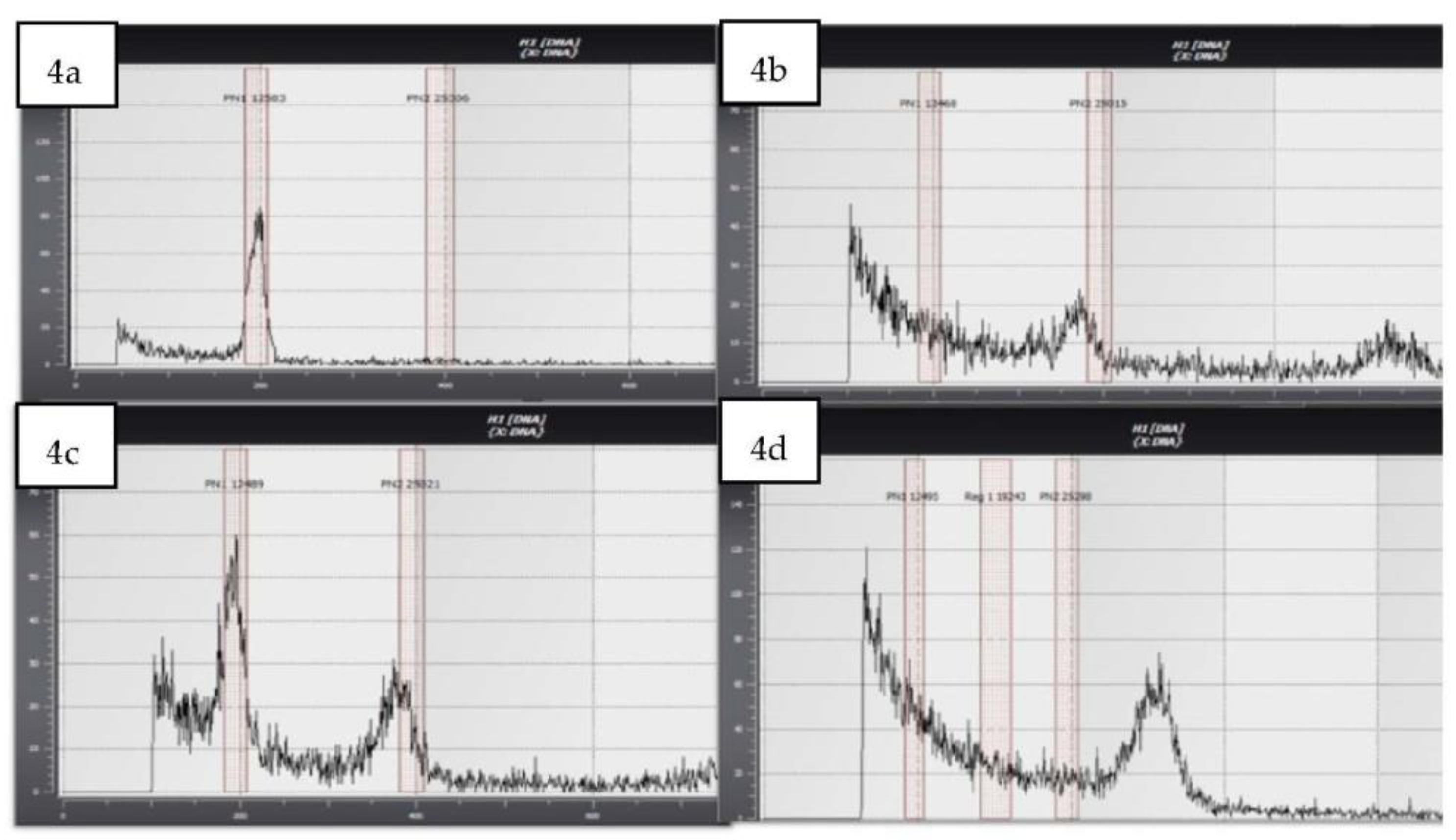 Agronomy 13 01442 g004