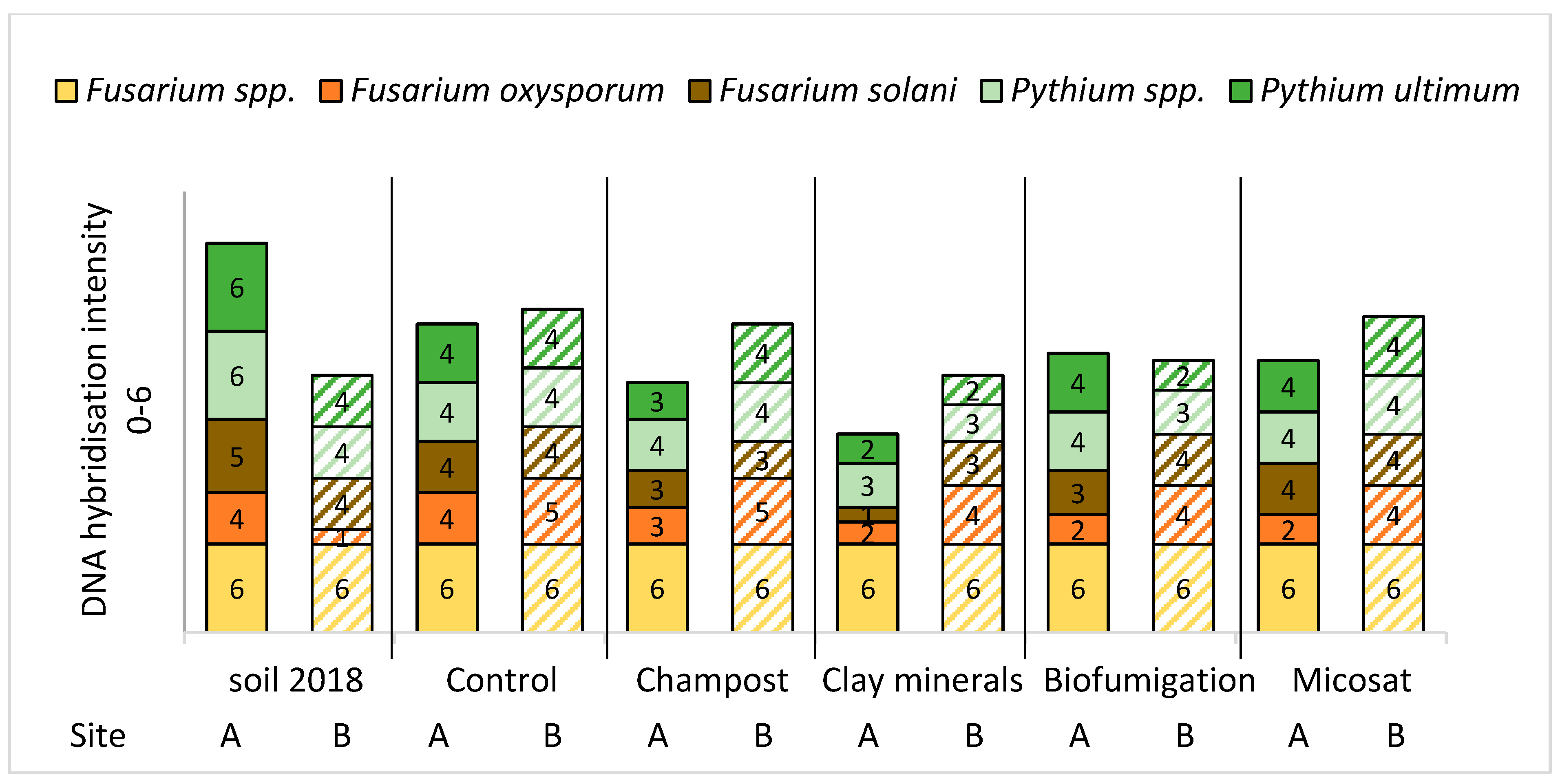 Agronomy 13 01464 g005