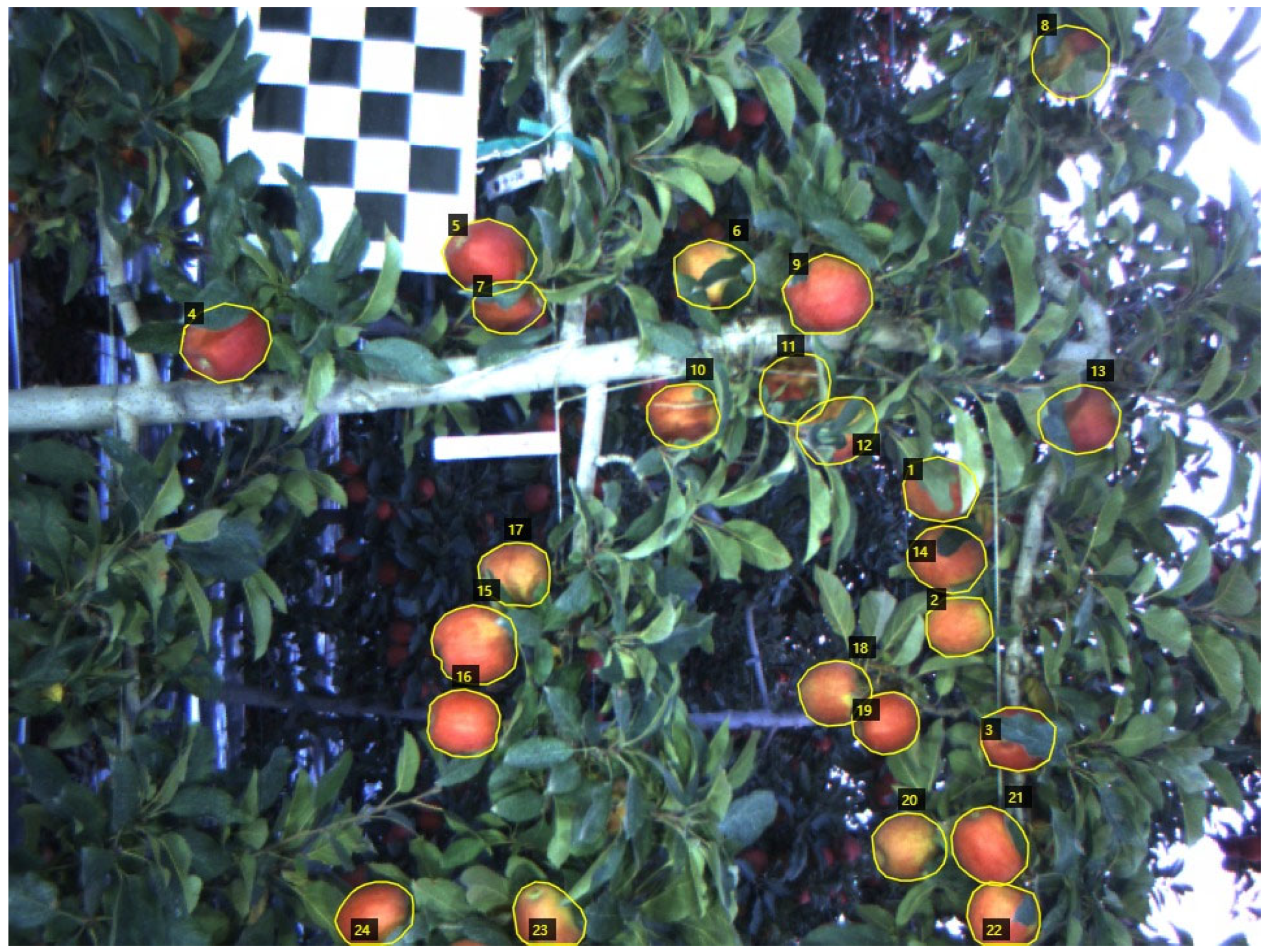 Agronomy 13 01469 g002