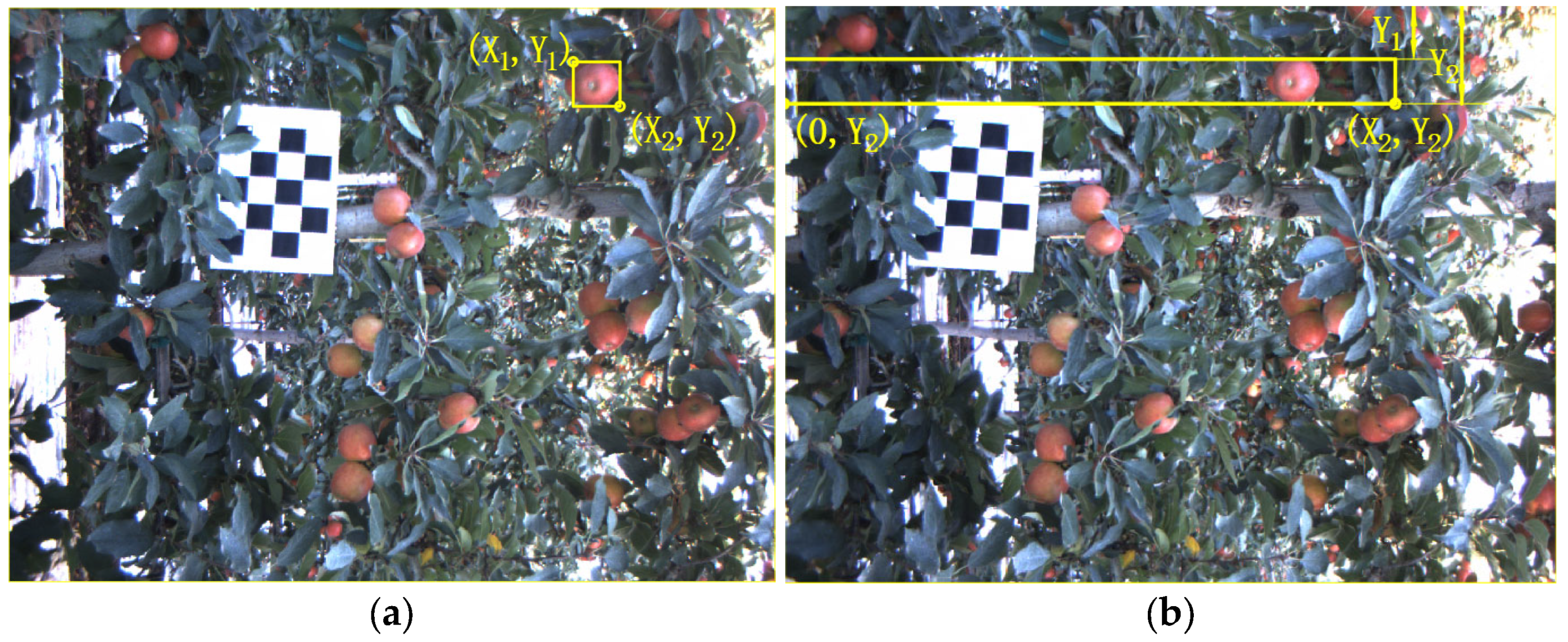 Agronomy 13 01469 g007