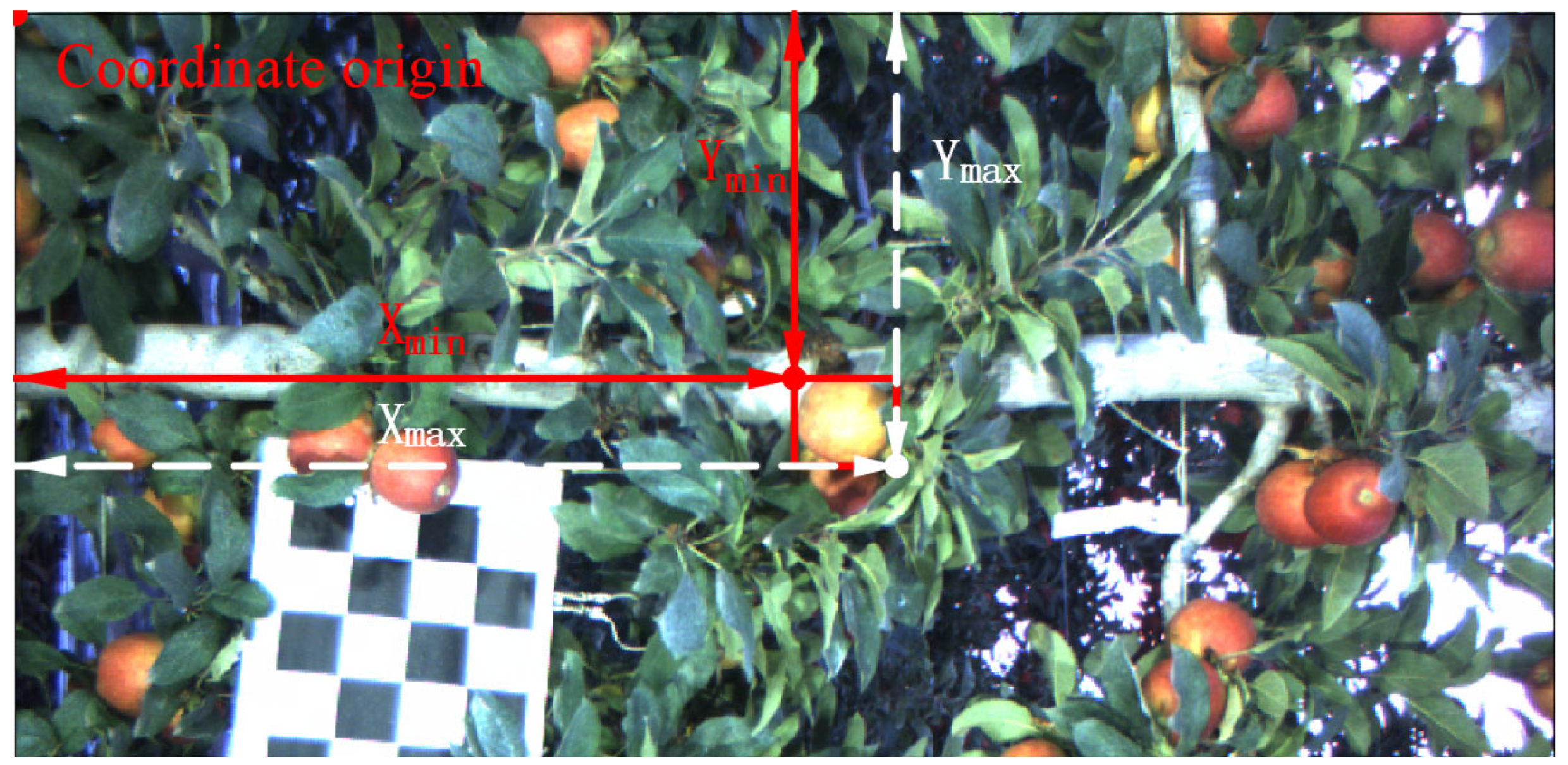 Agronomy 13 01469 g008