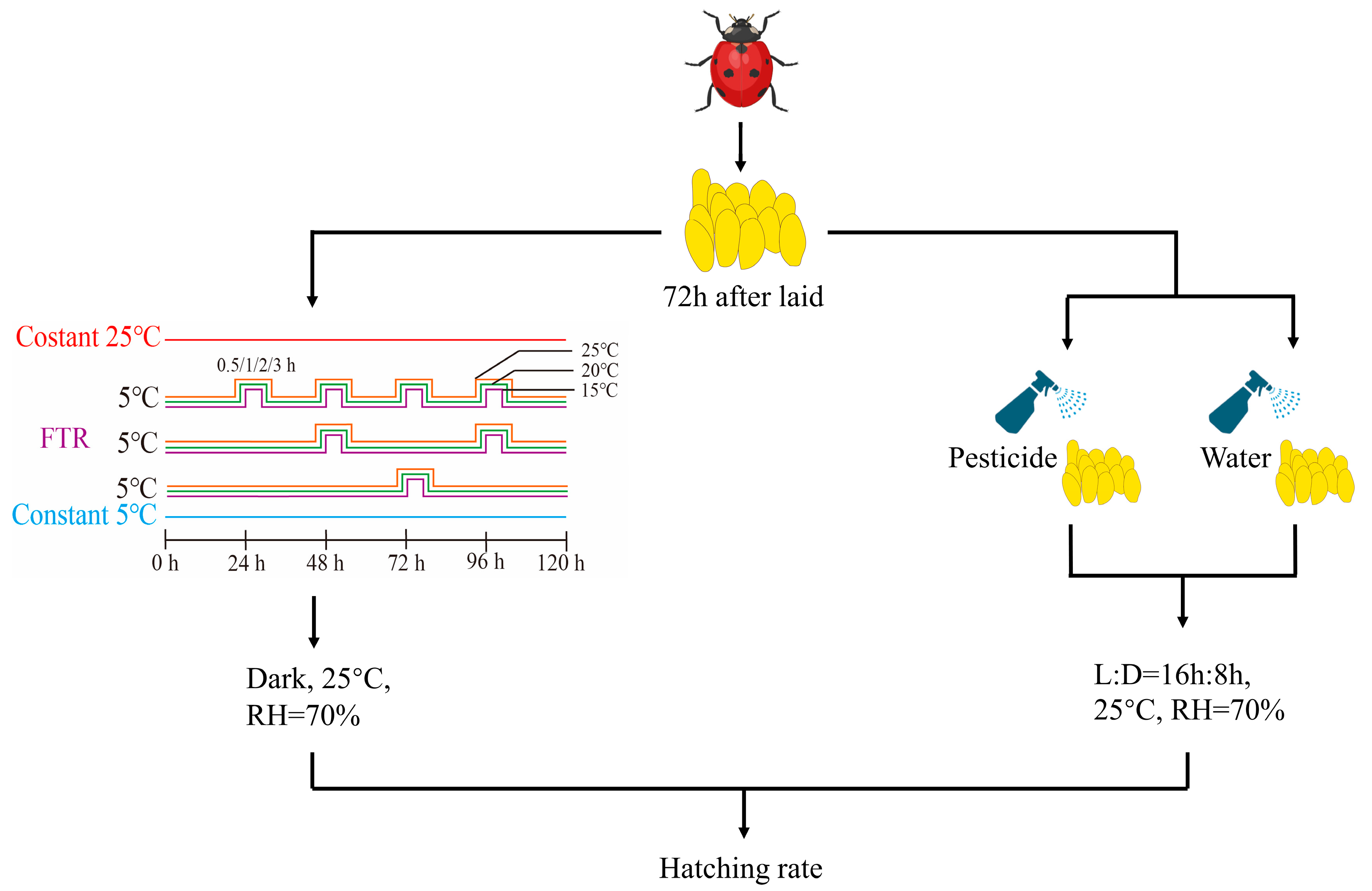 Agronomy 13 01470 g001