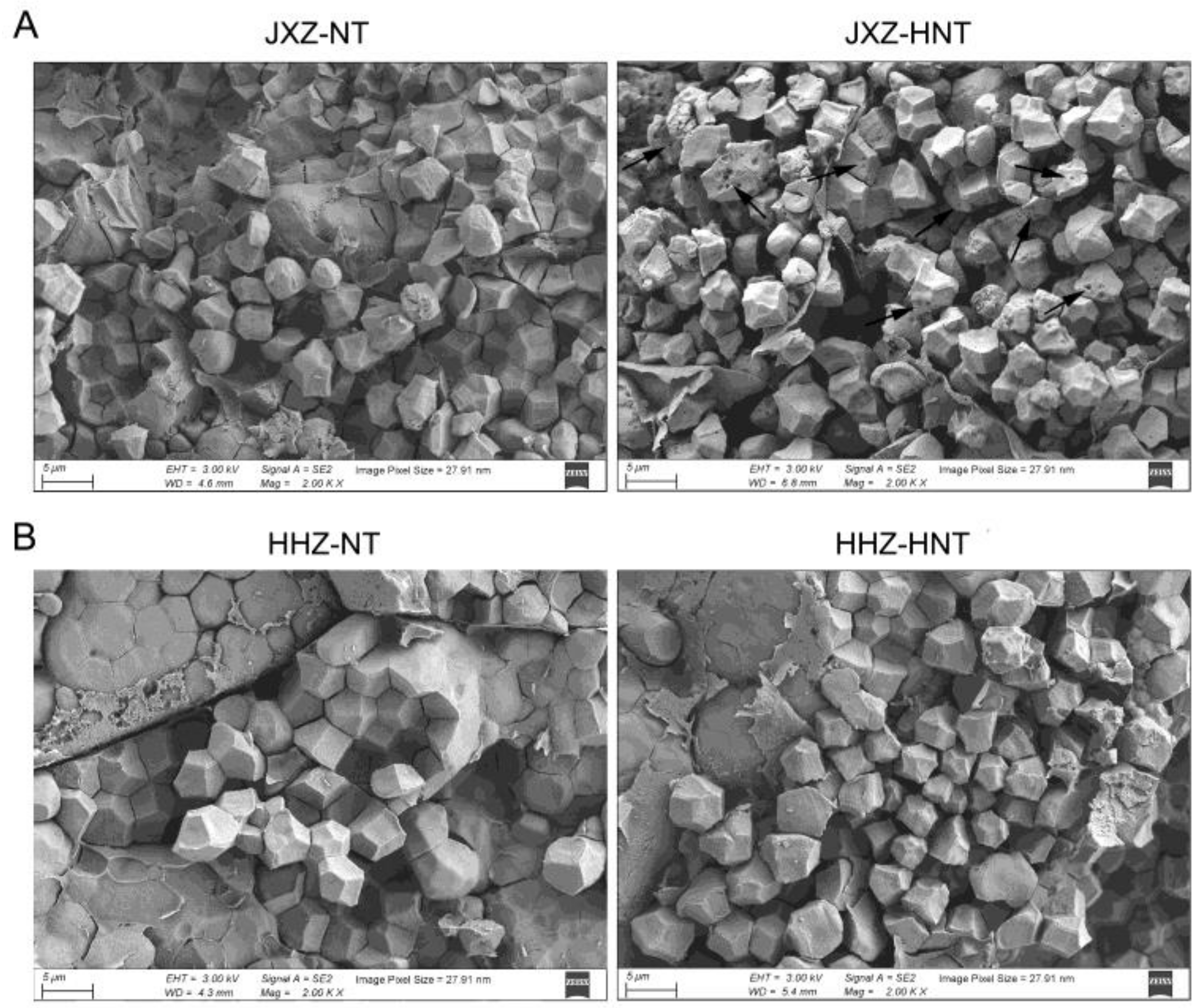 Agronomy 13 01475 g002 Agronomy 13 01475 g002
