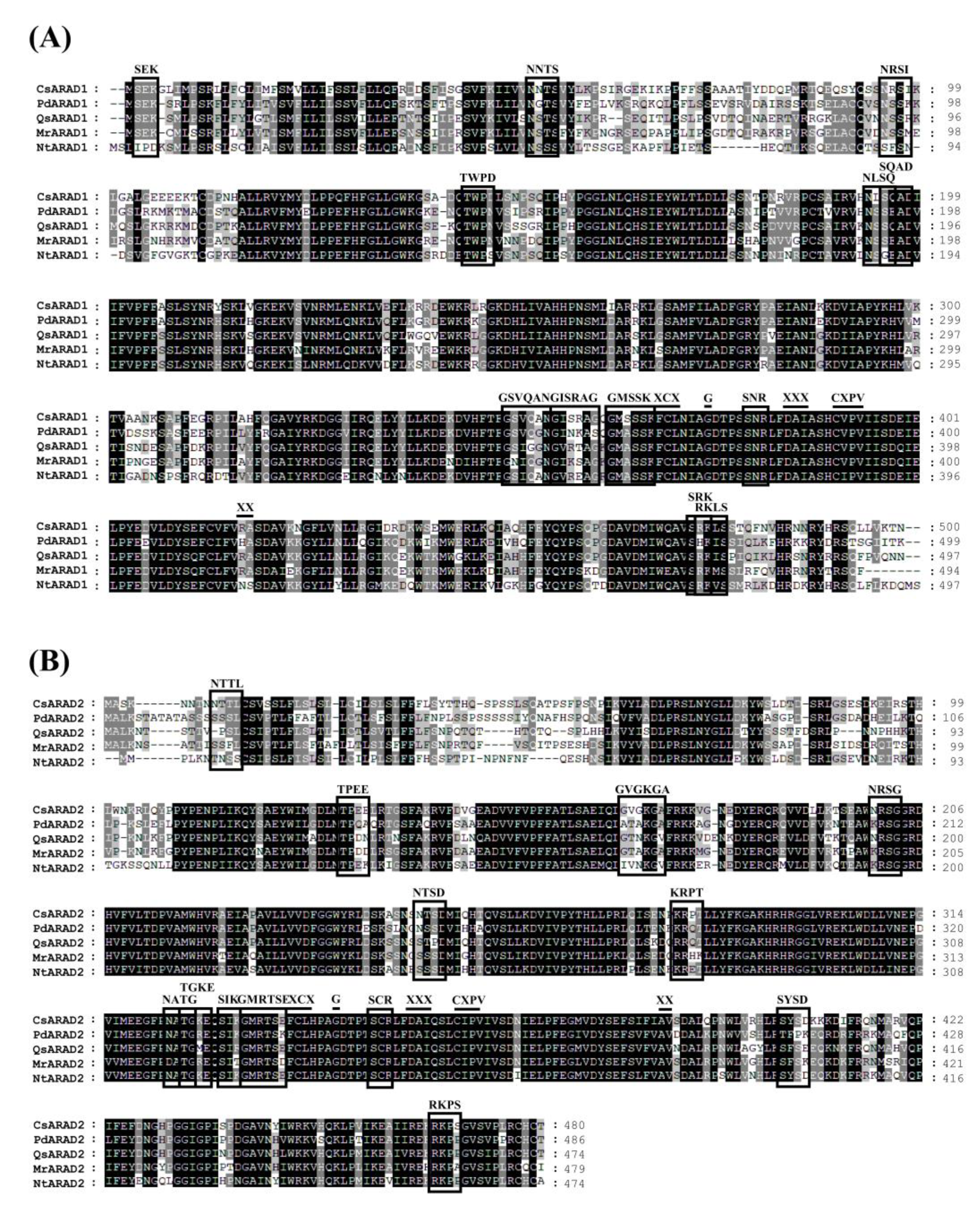 Agronomy 13 01476 g001 Agronomy 13 01476 g001