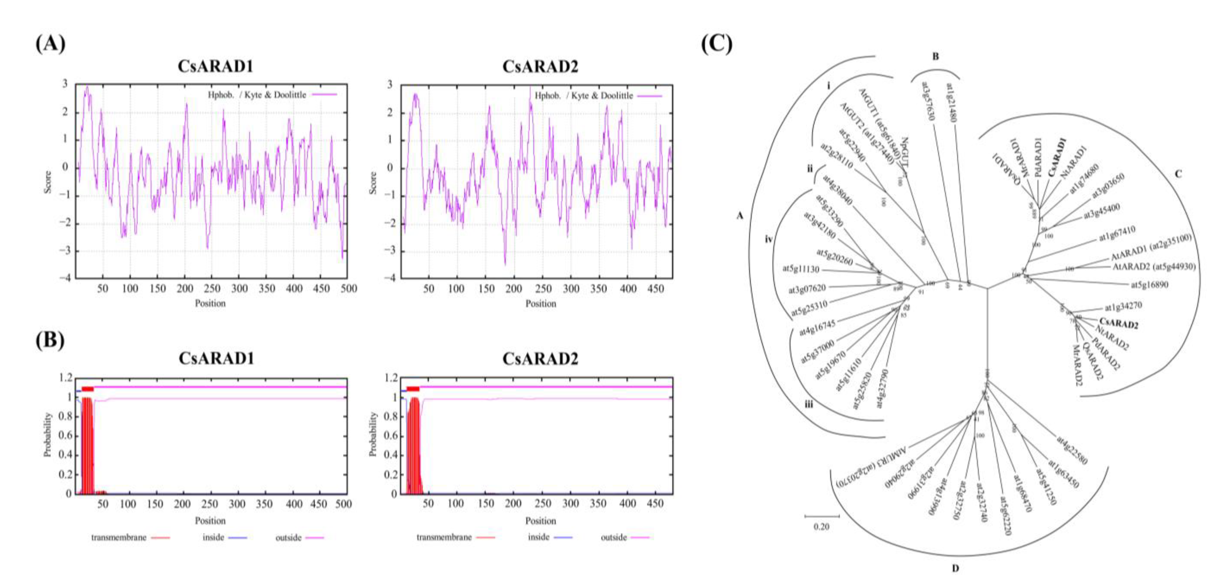 Agronomy 13 01476 g002 Agronomy 13 01476 g002