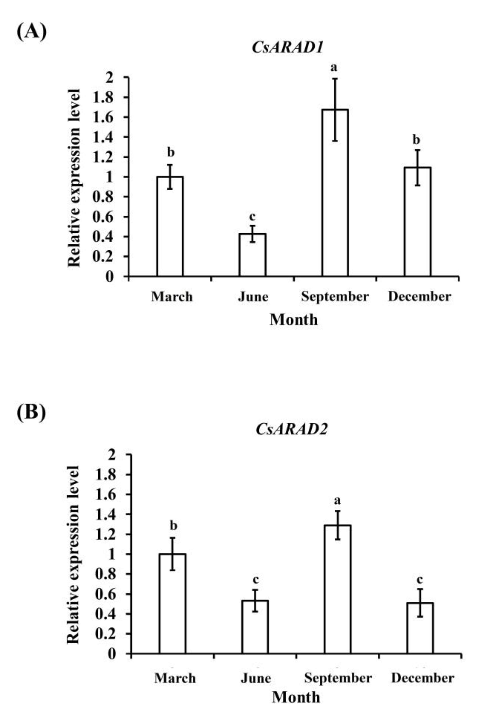 Agronomy 13 01476 g004 Agronomy 13 01476 g004