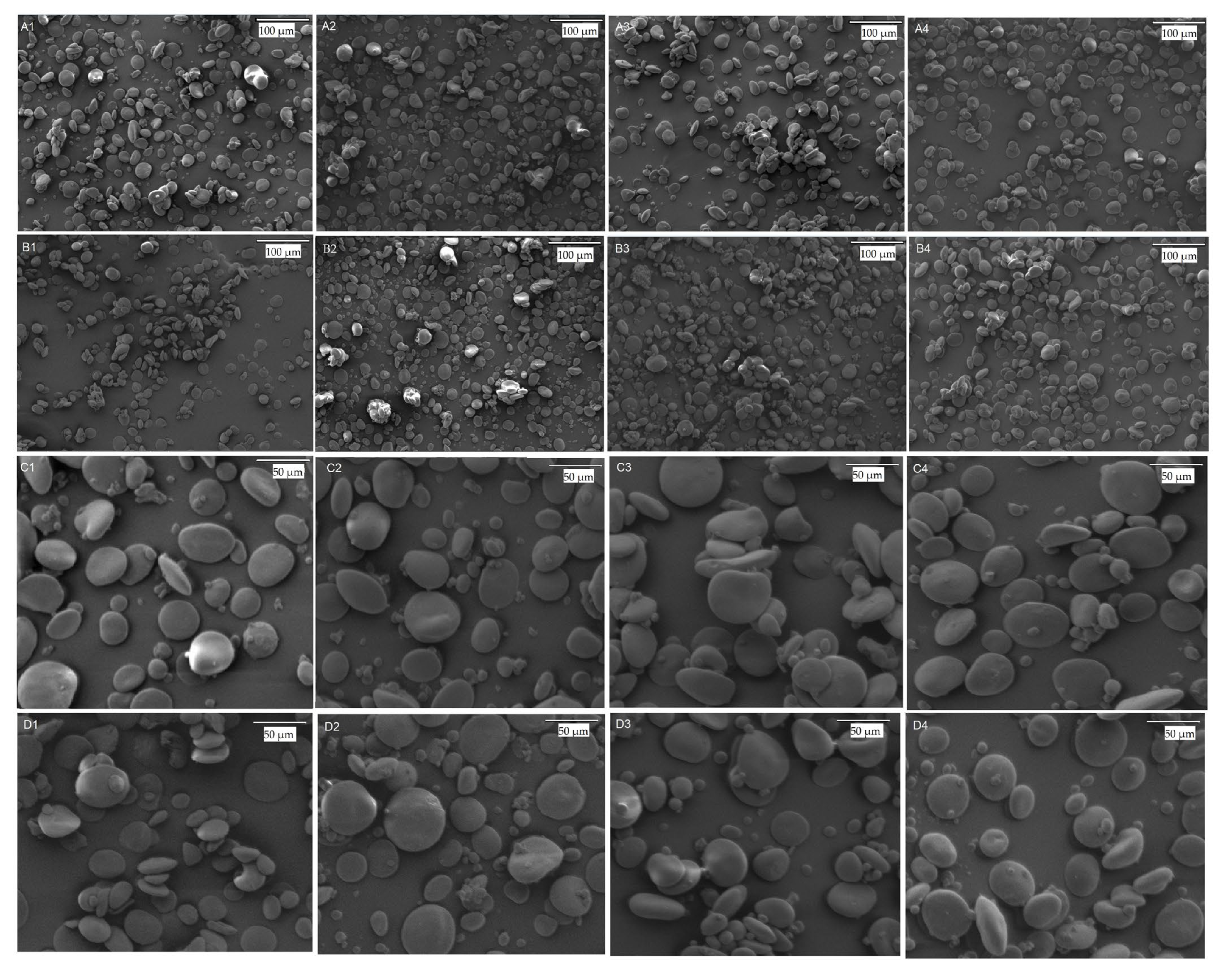 Agronomy 13 01482 g003