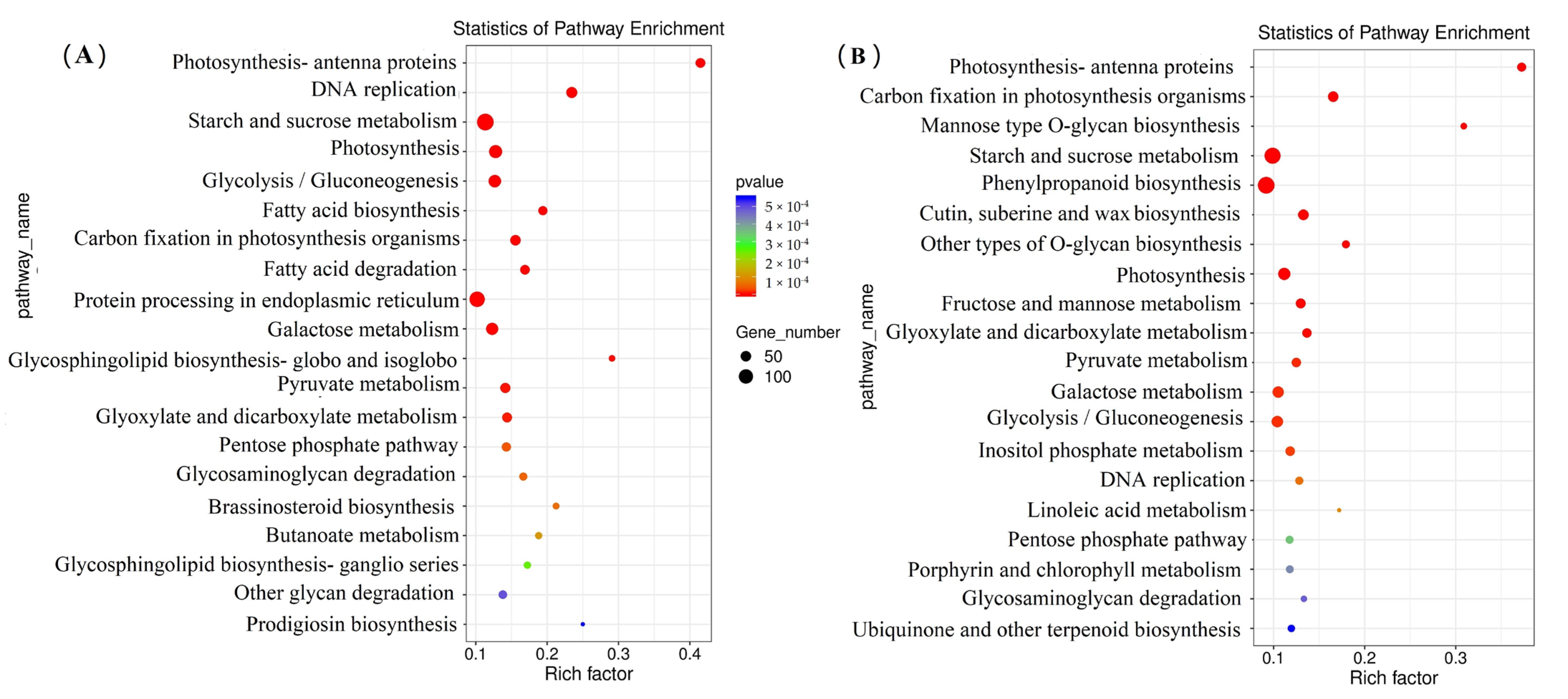 Agronomy 13 01482 g004