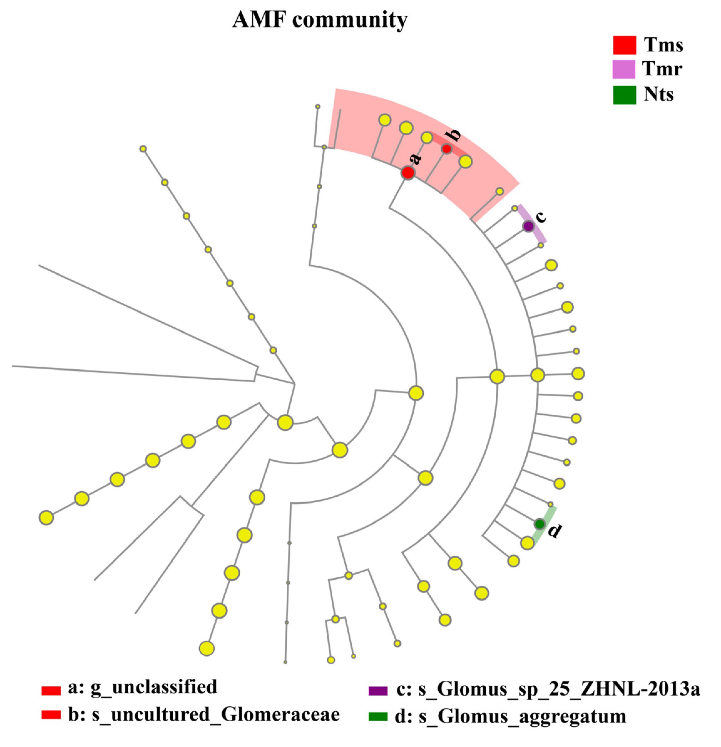 Agronomy 13 01485 g004