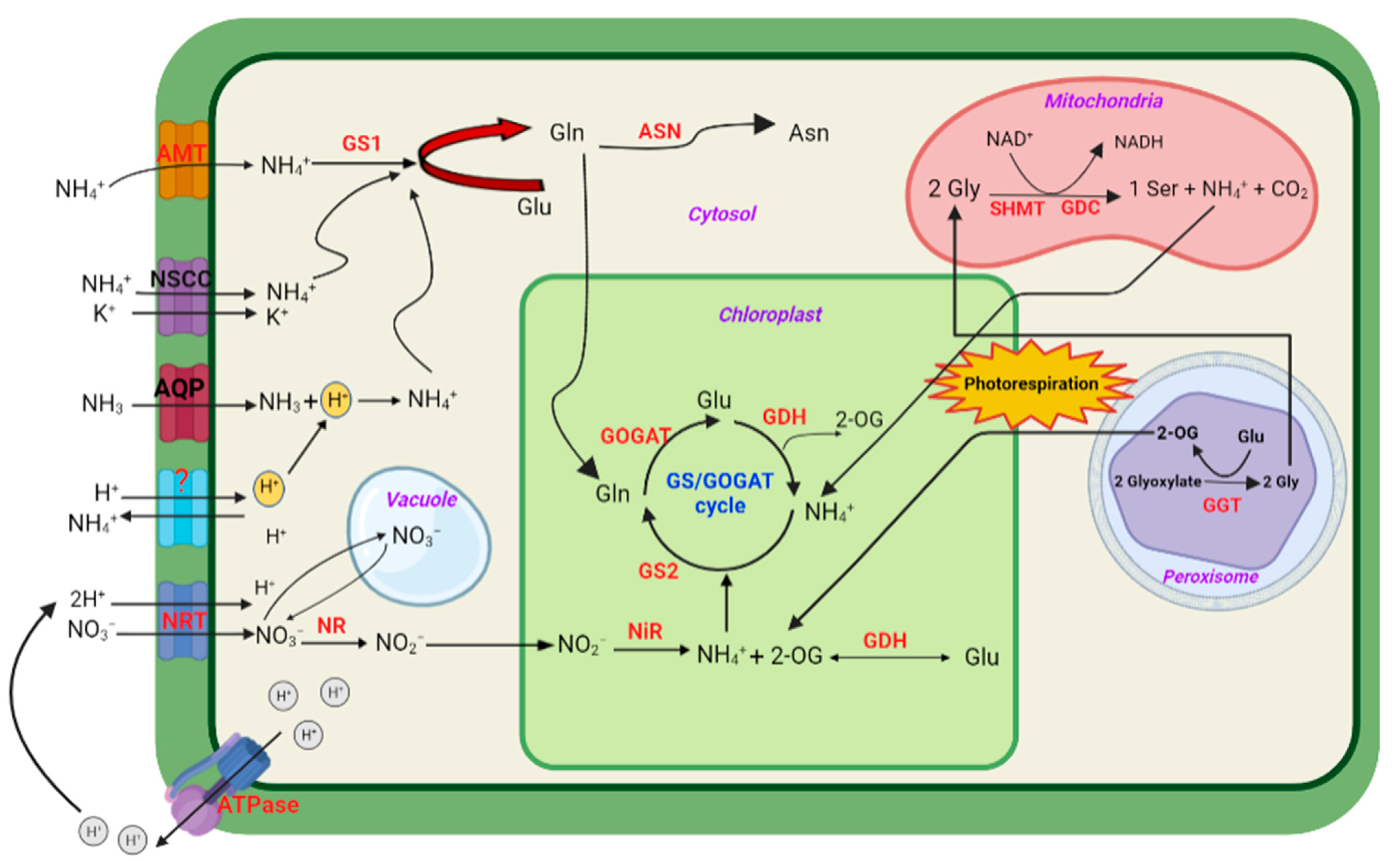 Agronomy 13 01487 g001