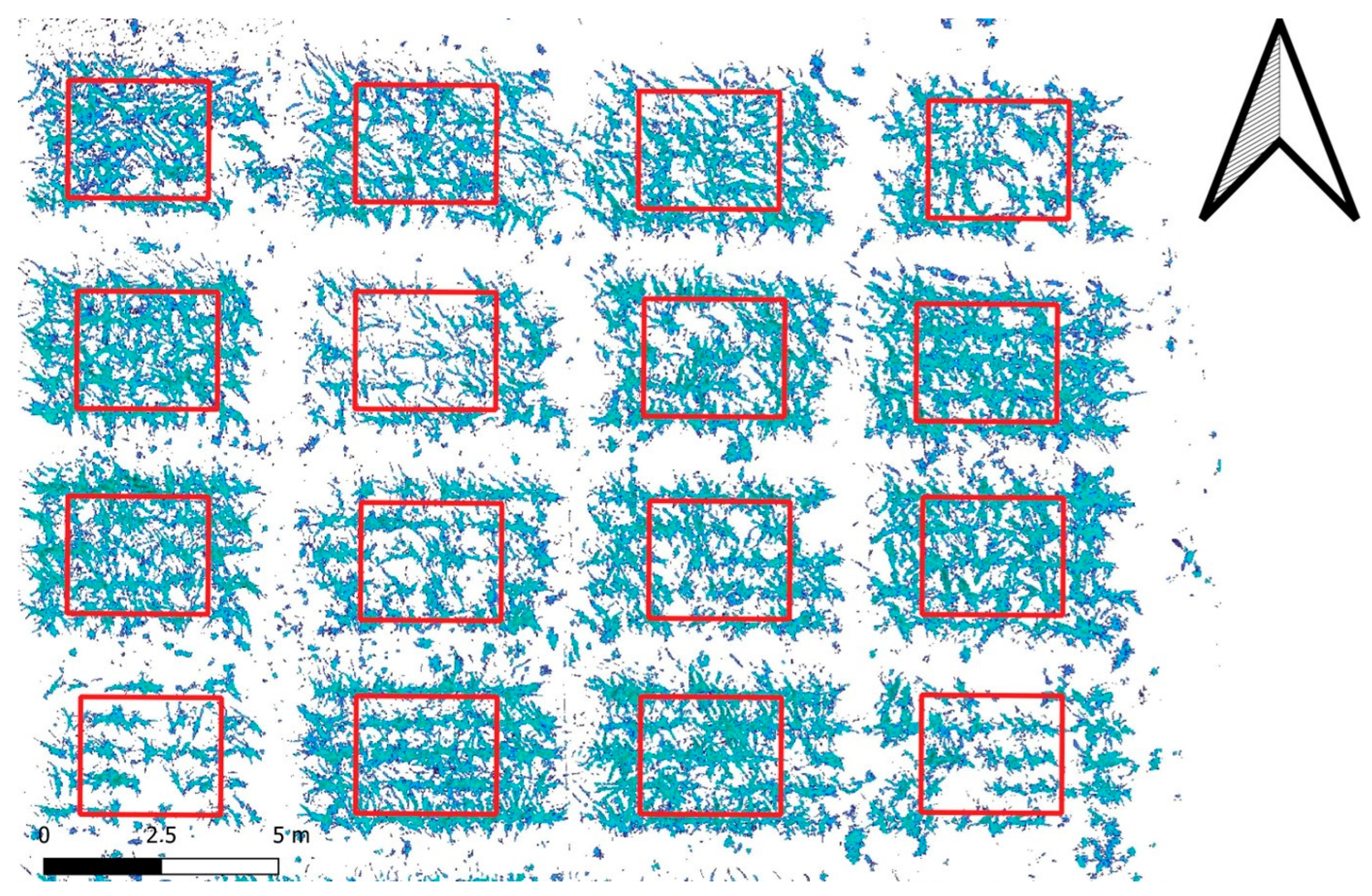 Agronomy 13 01499 g005