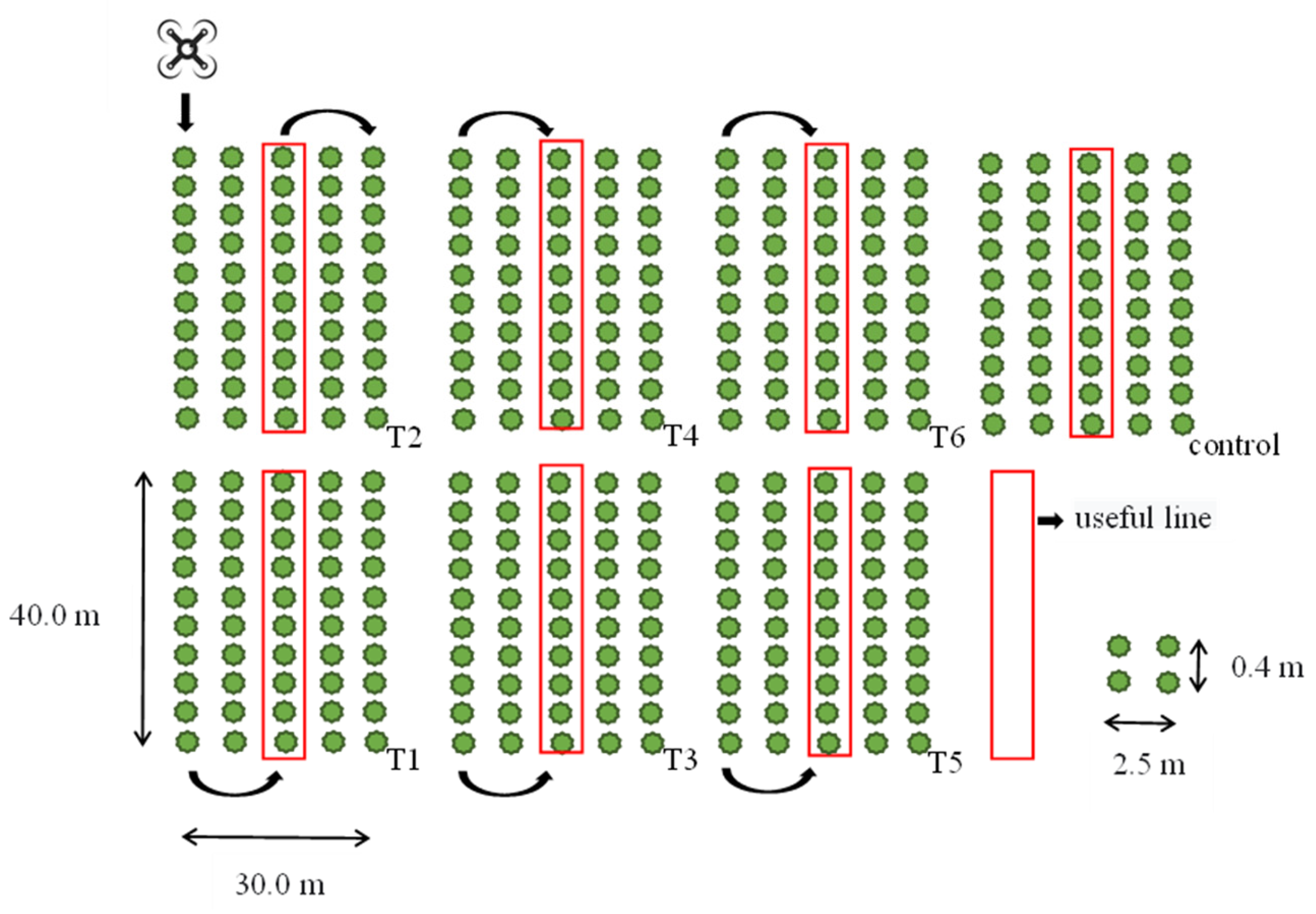 Agronomy 13 01506 g002