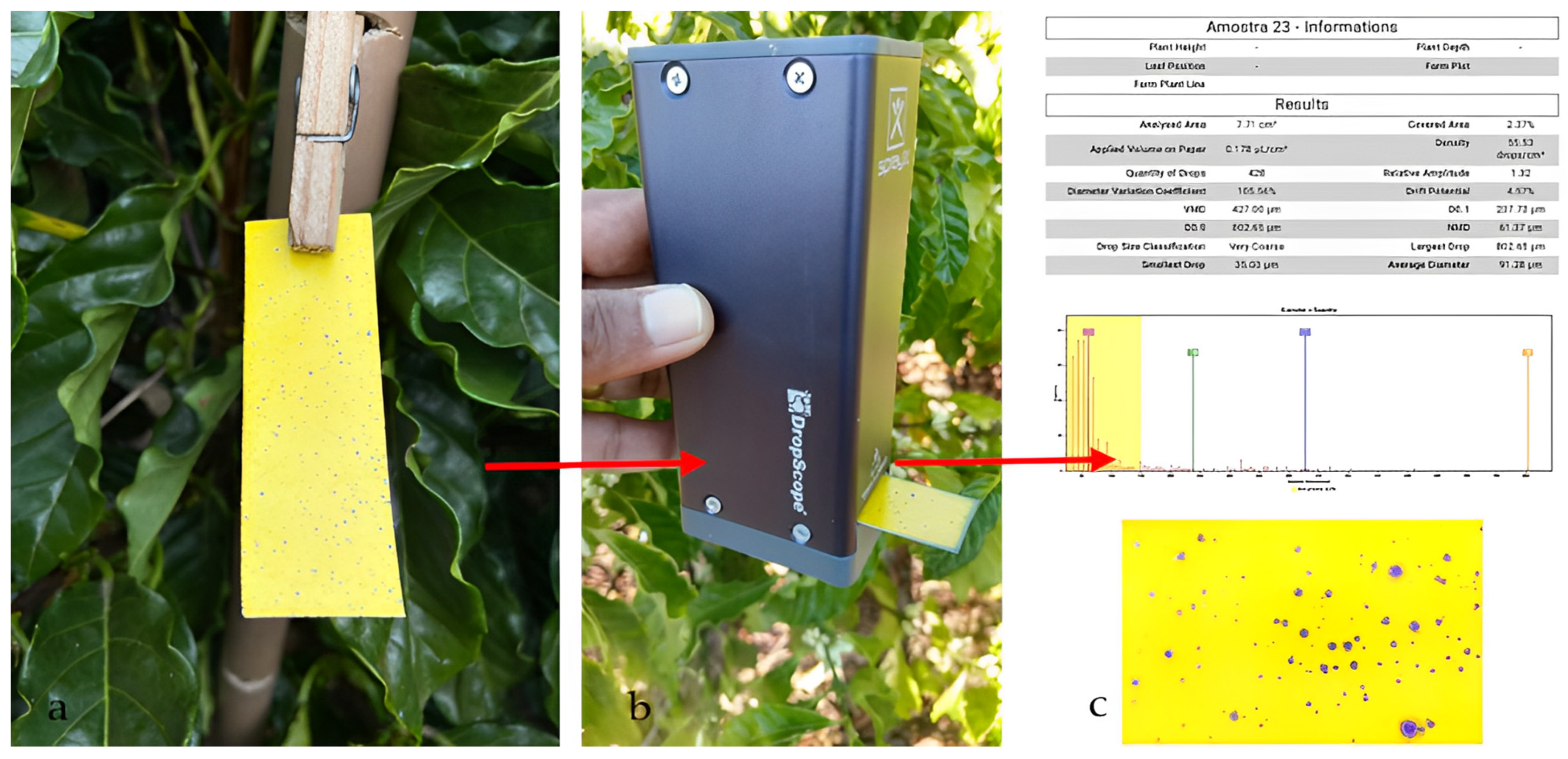 Agronomy 13 01506 g004