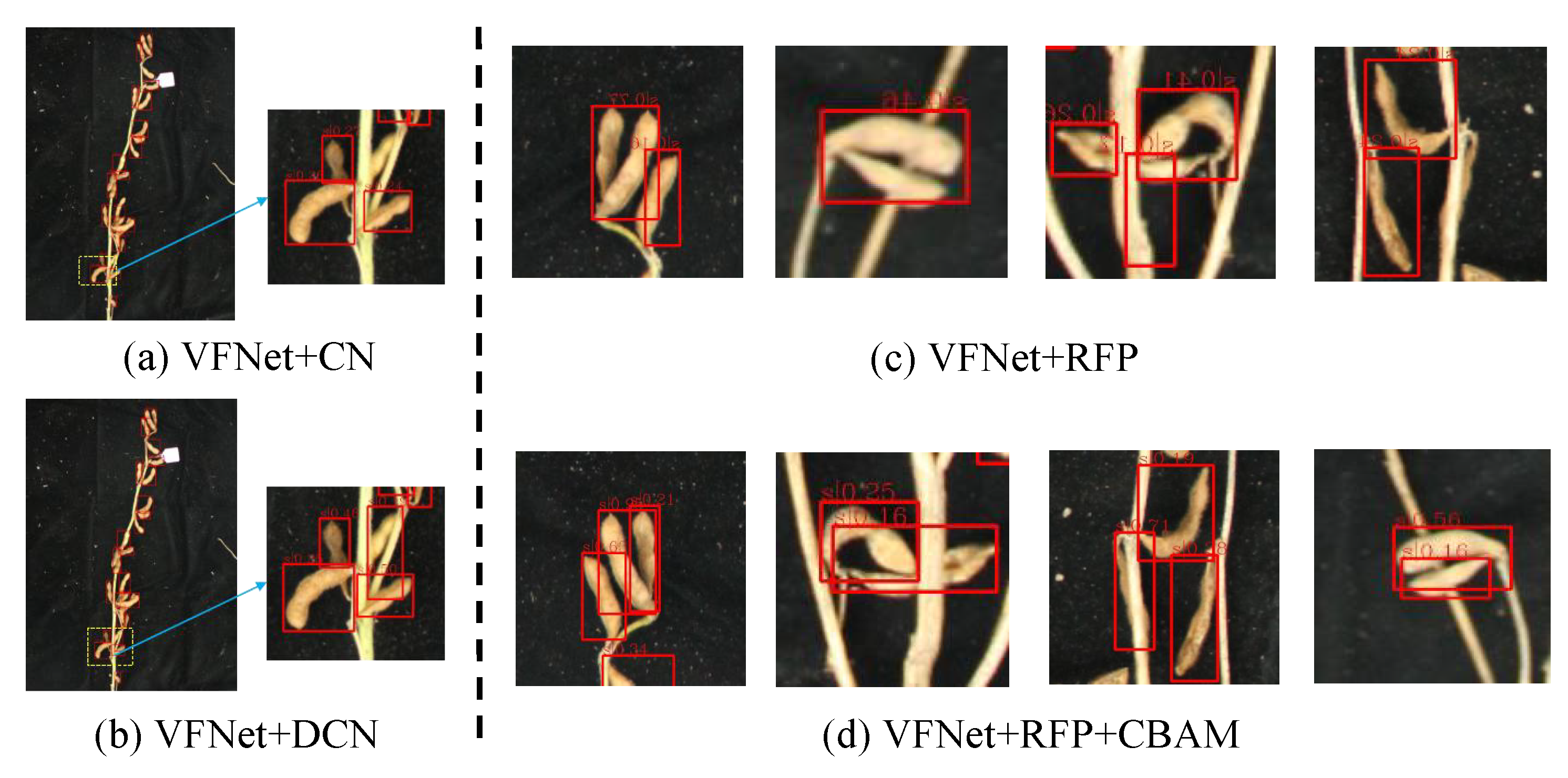 Agronomy 13 01507 g006