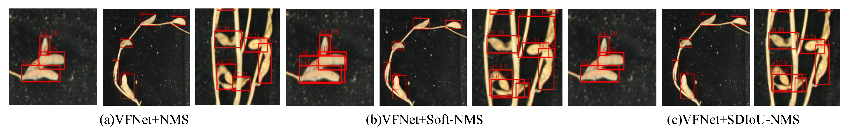 Agronomy 13 01507 g009