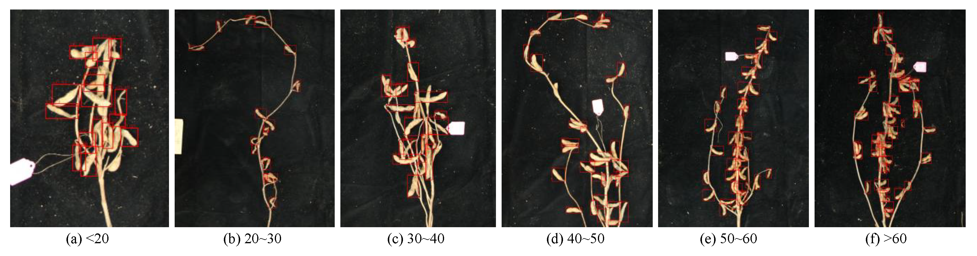 Agronomy 13 01507 g012