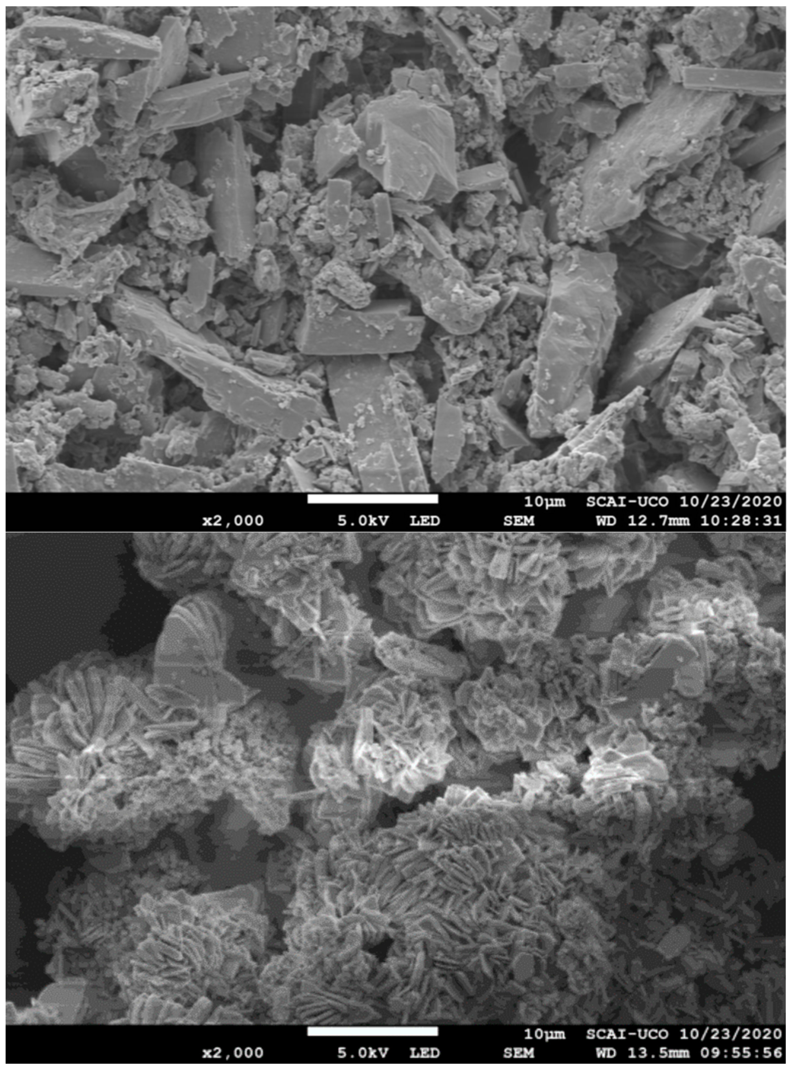 Agronomy 13 01513 g001