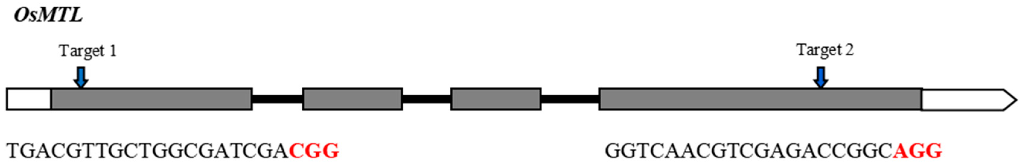 Agronomy 13 01520 g001 Agronomy 13 01520 g001