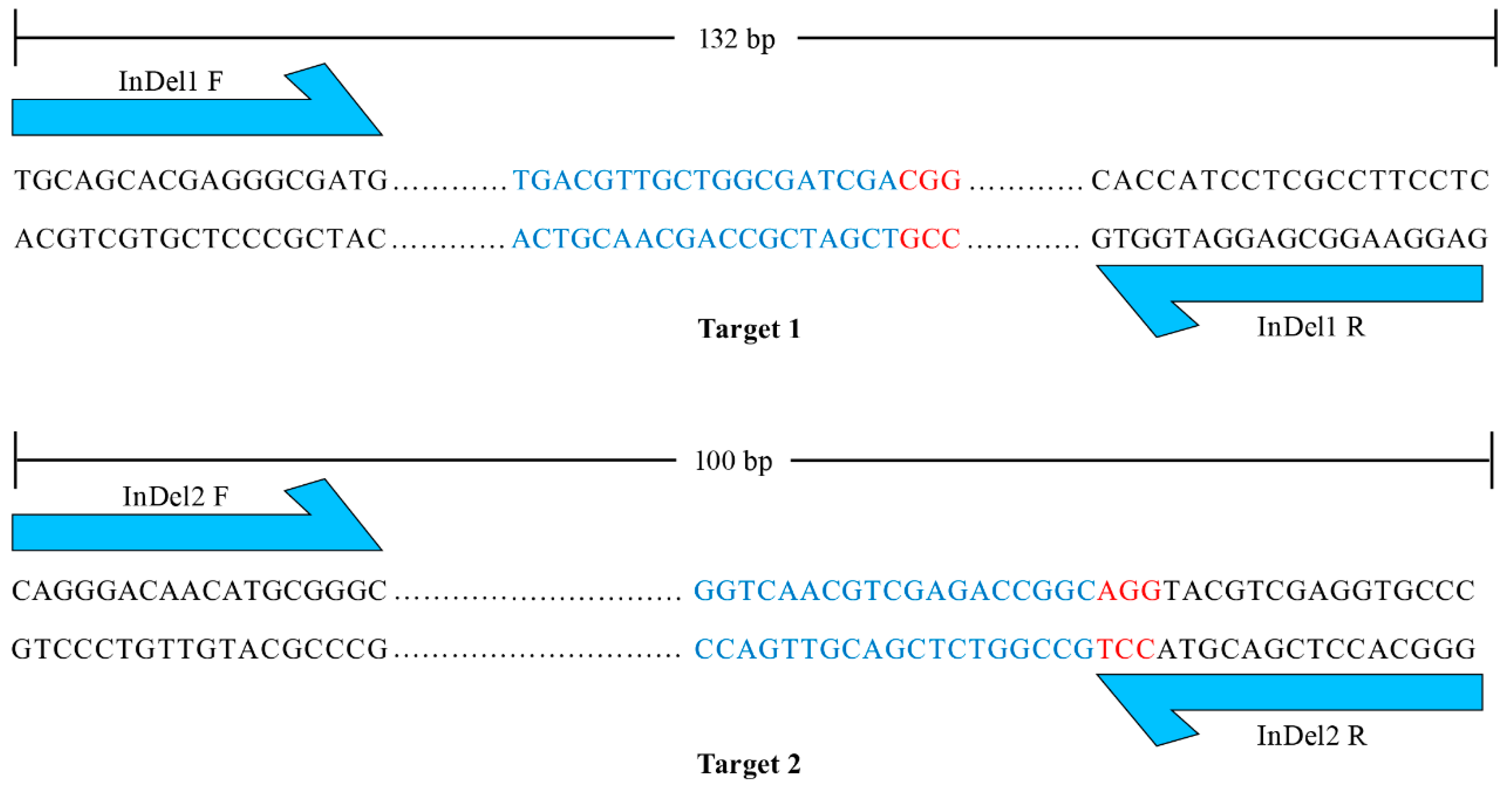 Agronomy 13 01520 g003 Agronomy 13 01520 g003