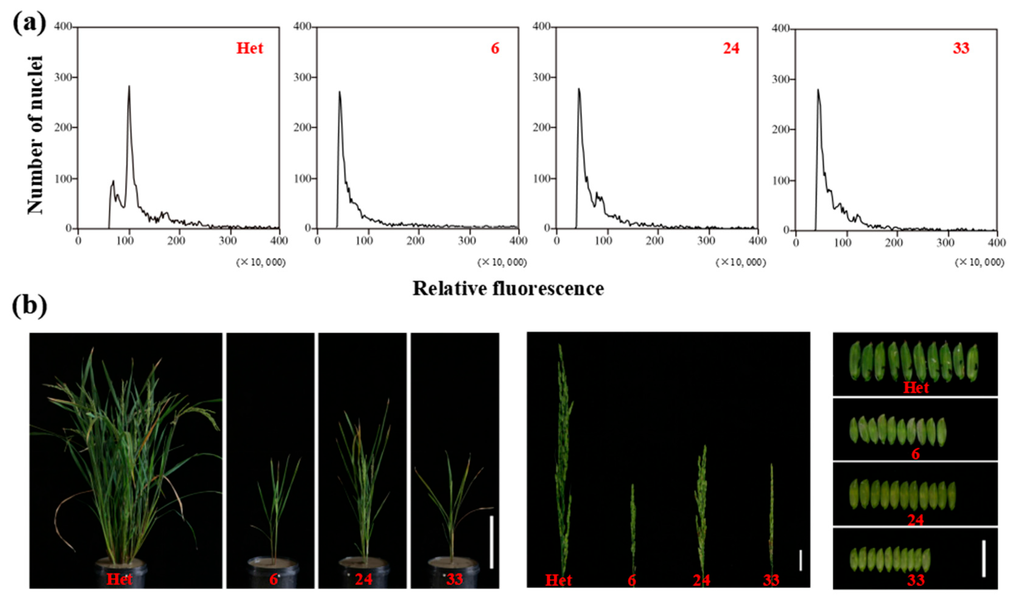 Agronomy 13 01520 g008 Agronomy 13 01520 g008