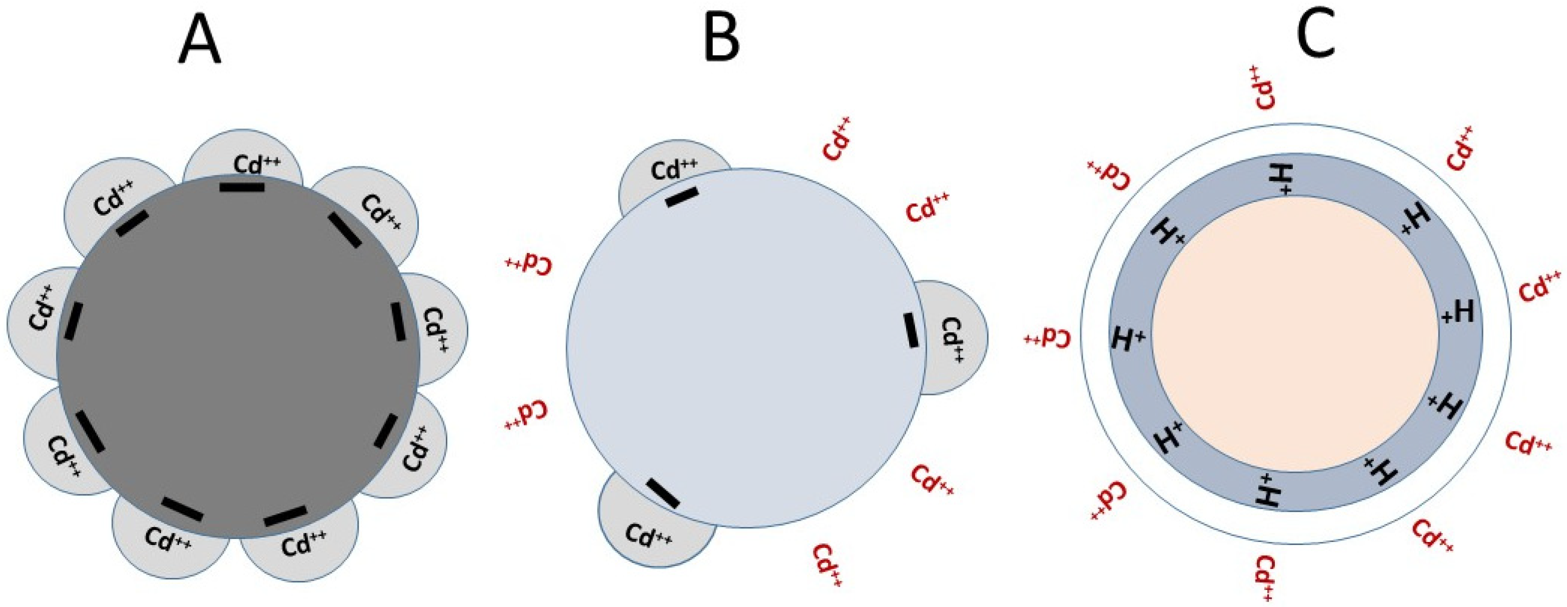 Agronomy 13 01521 g003