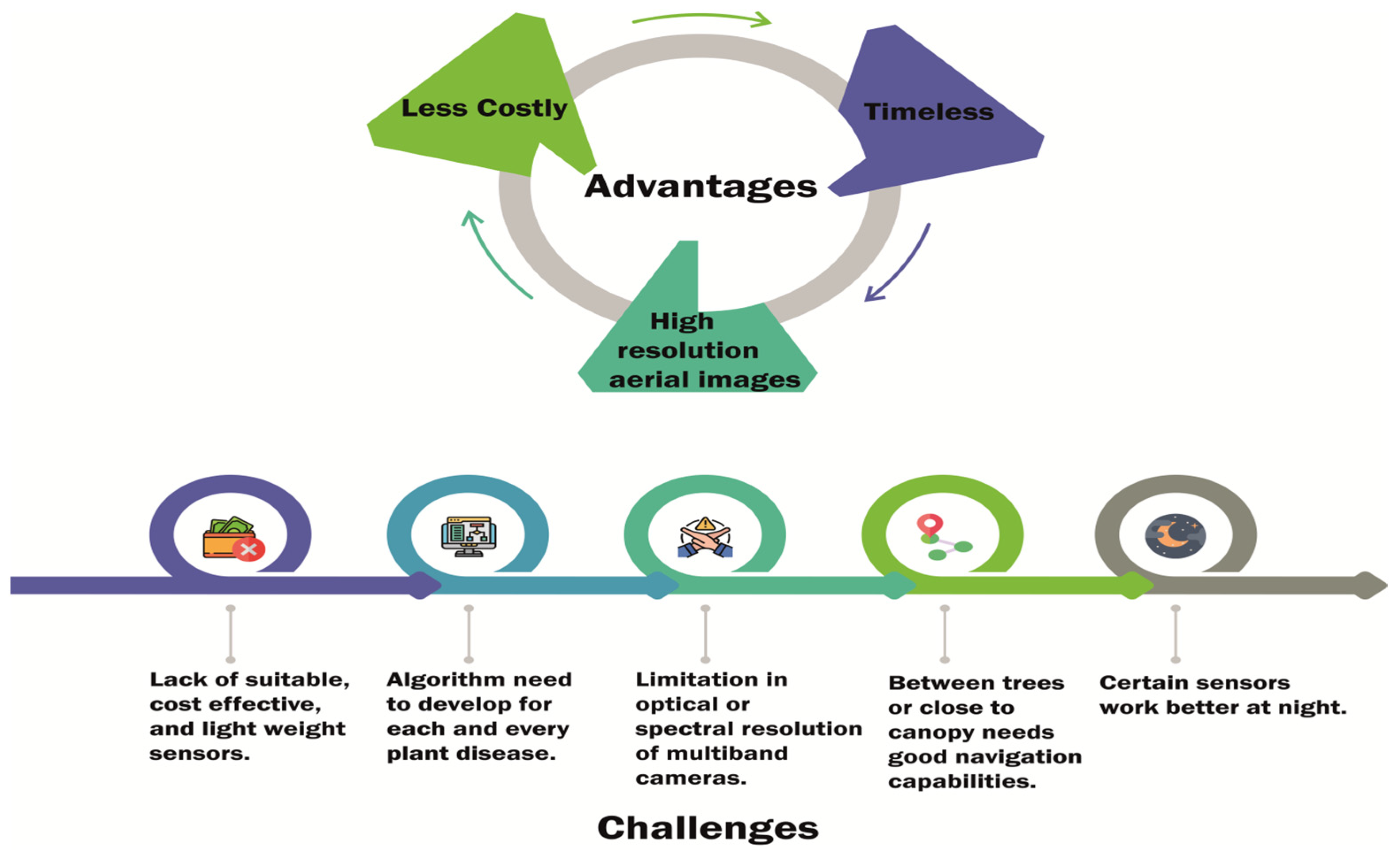 Agronomy 13 01524 g002