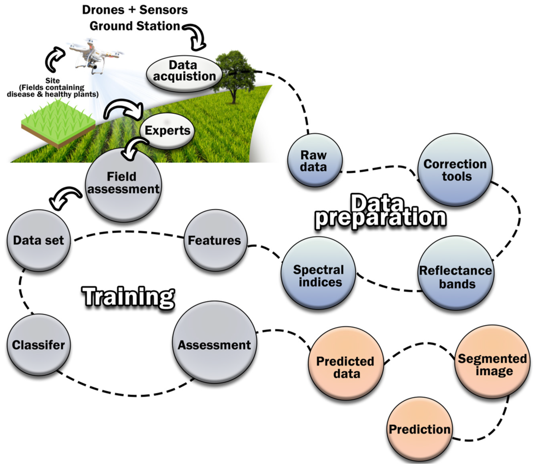 Agronomy 13 01524 g003