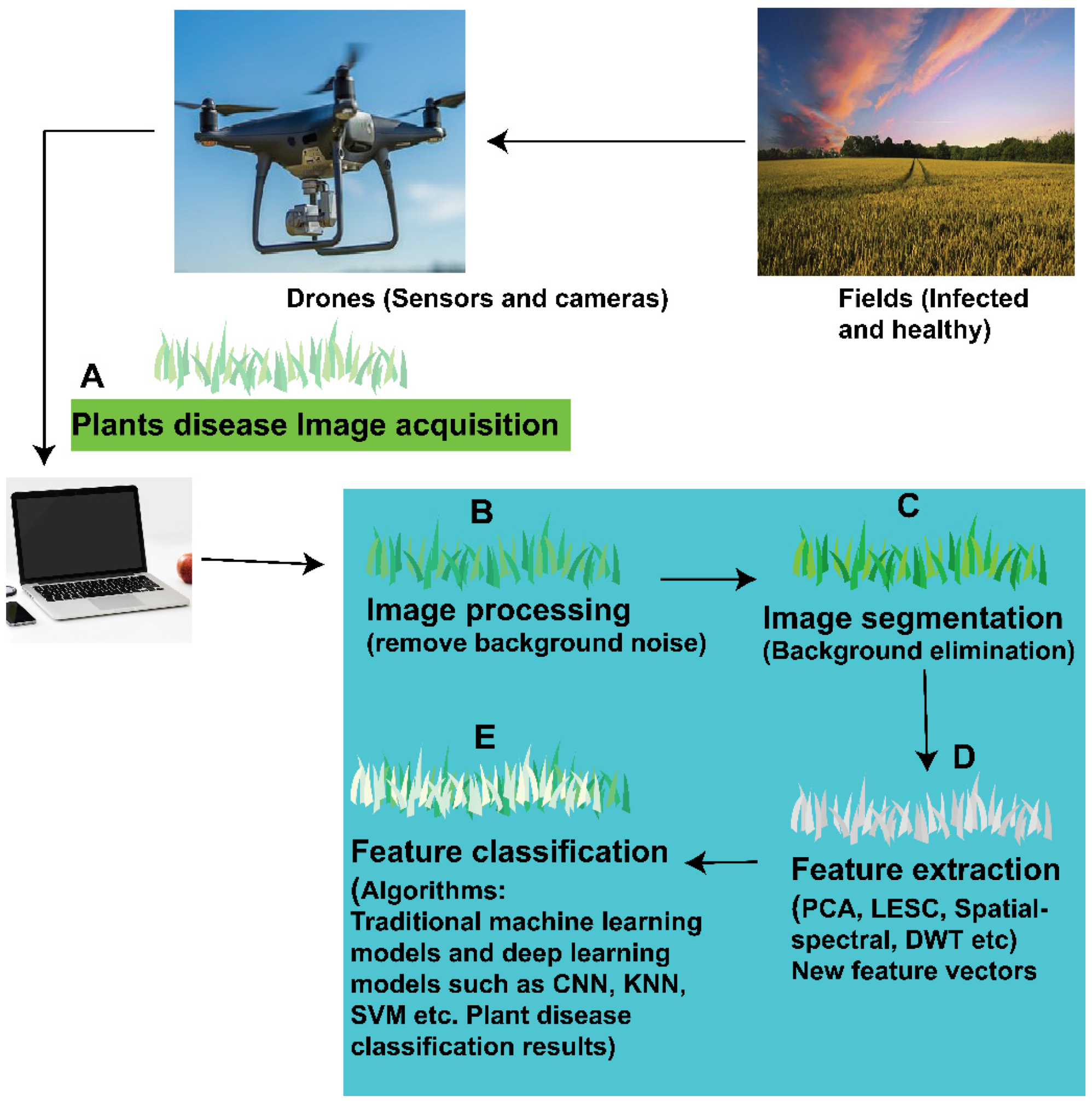 Agronomy 13 01524 g004