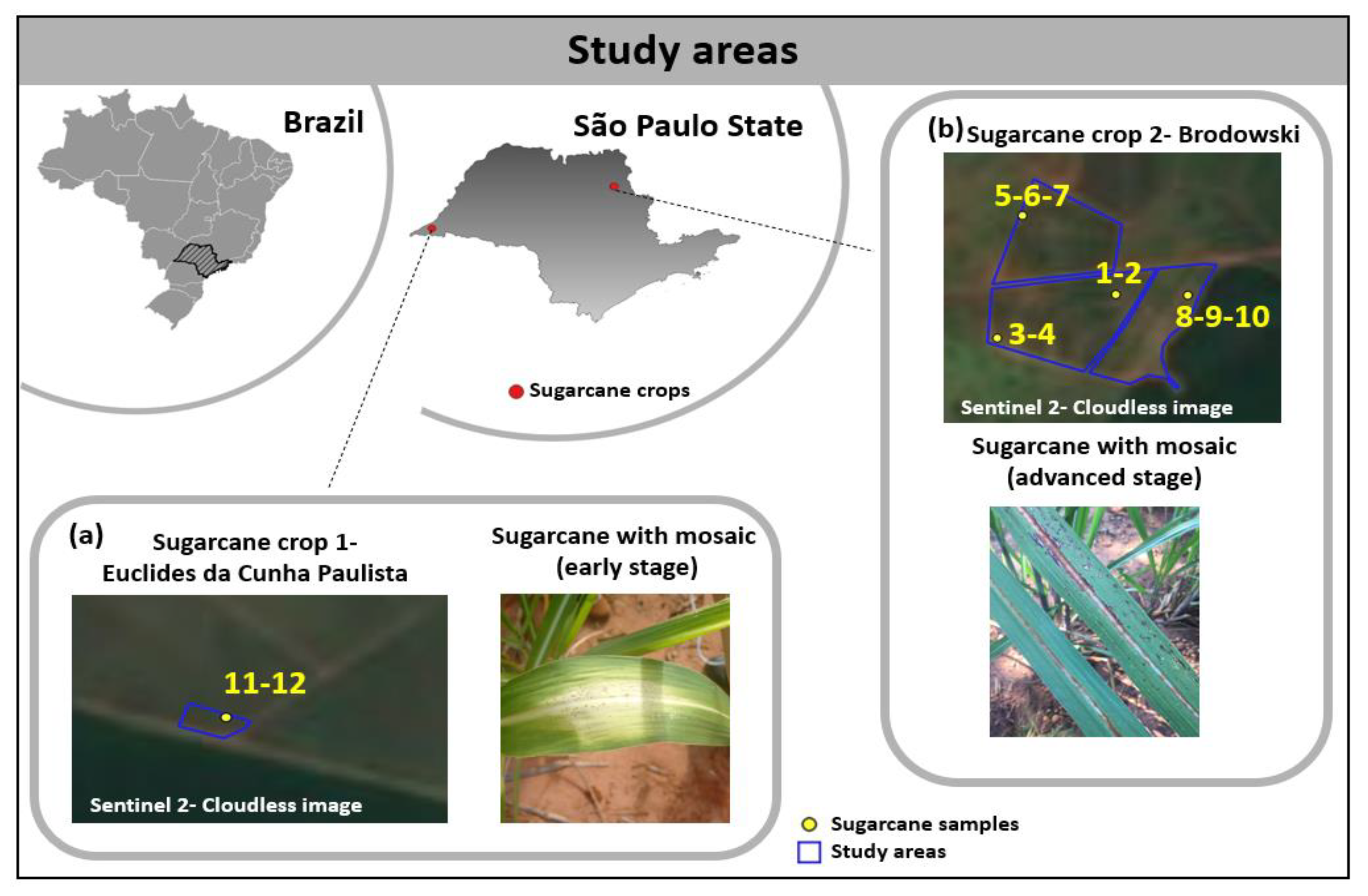 Agronomy 13 01542 g001