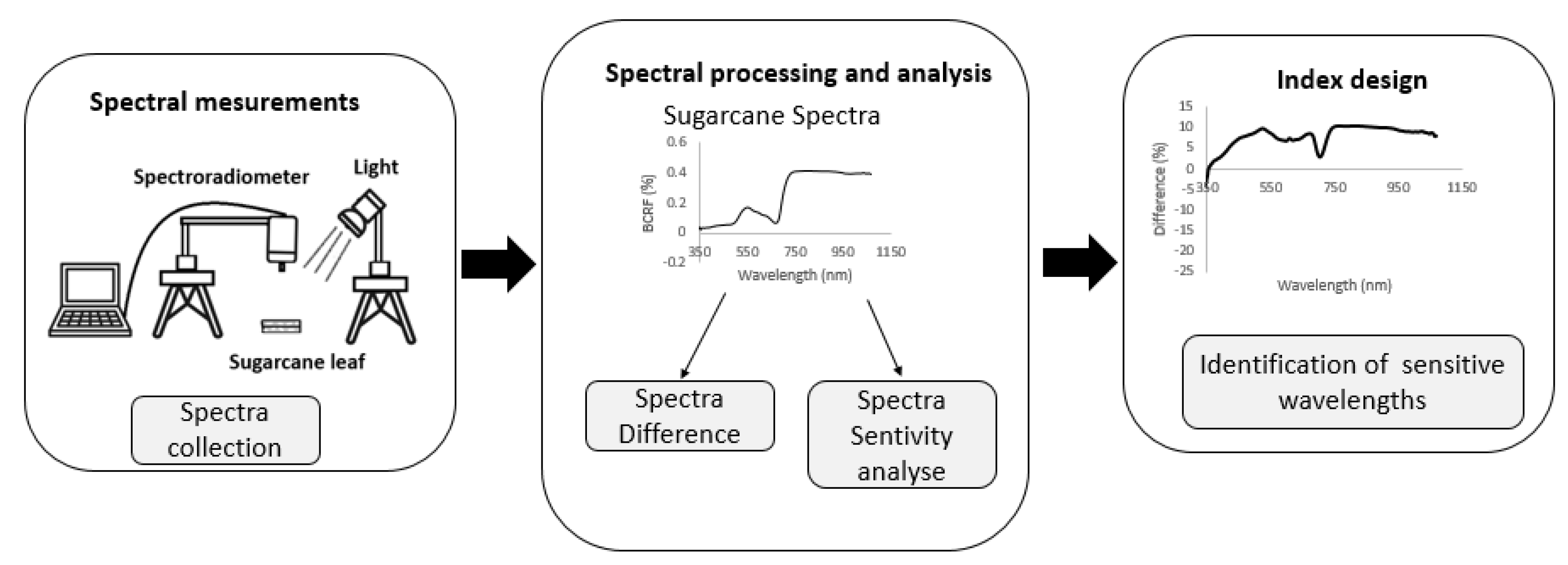 Agronomy 13 01542 g002