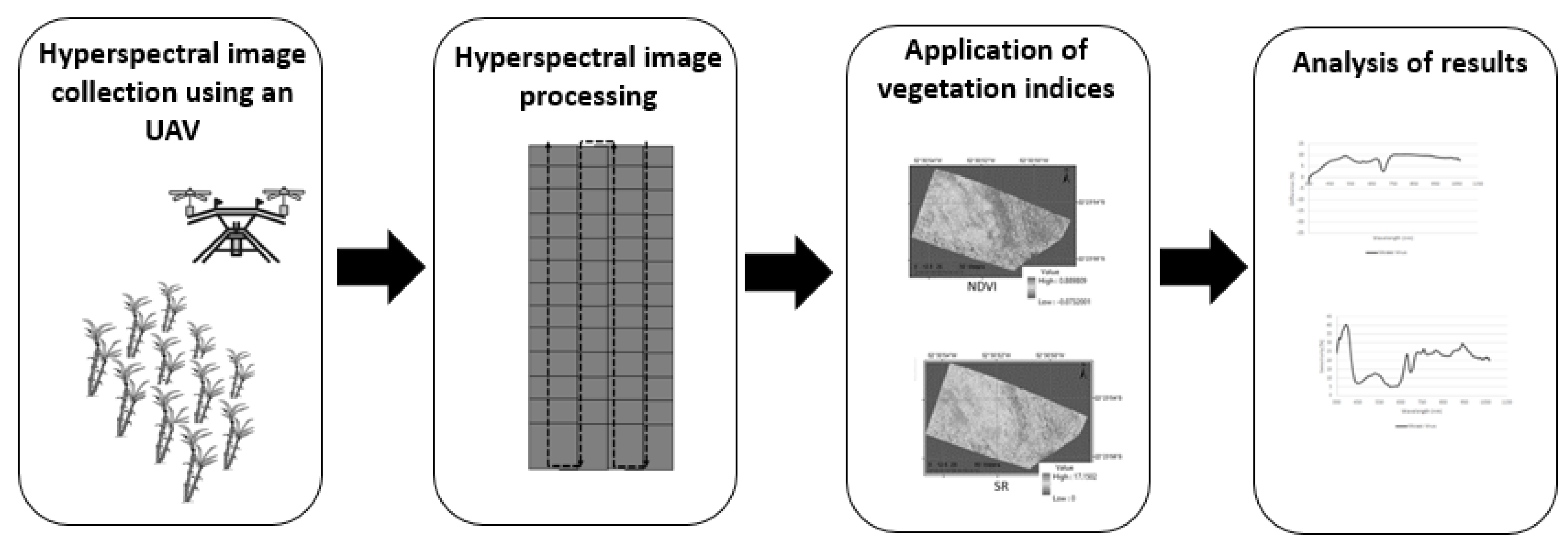 Agronomy 13 01542 g004