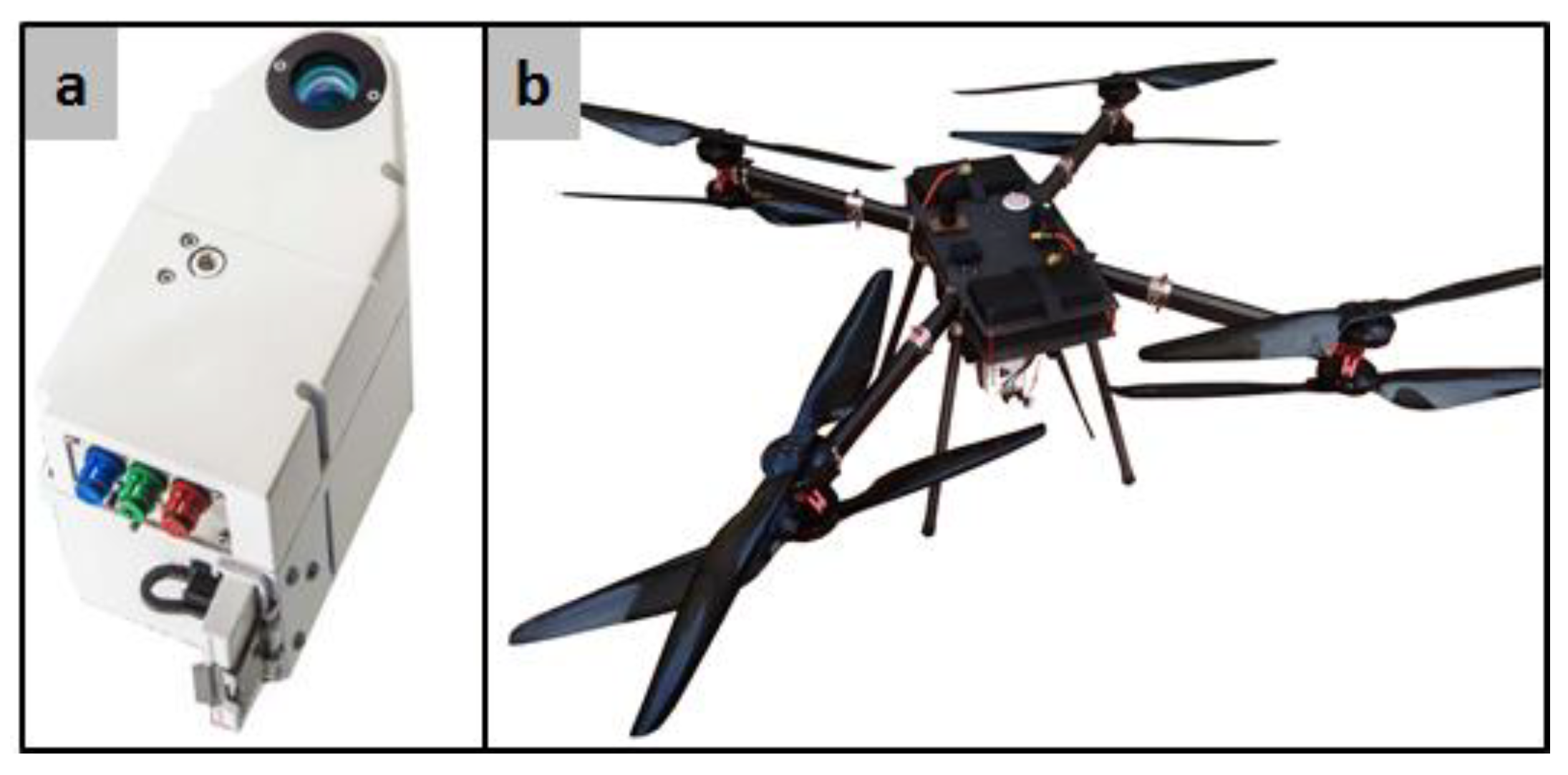 Agronomy 13 01542 g005
