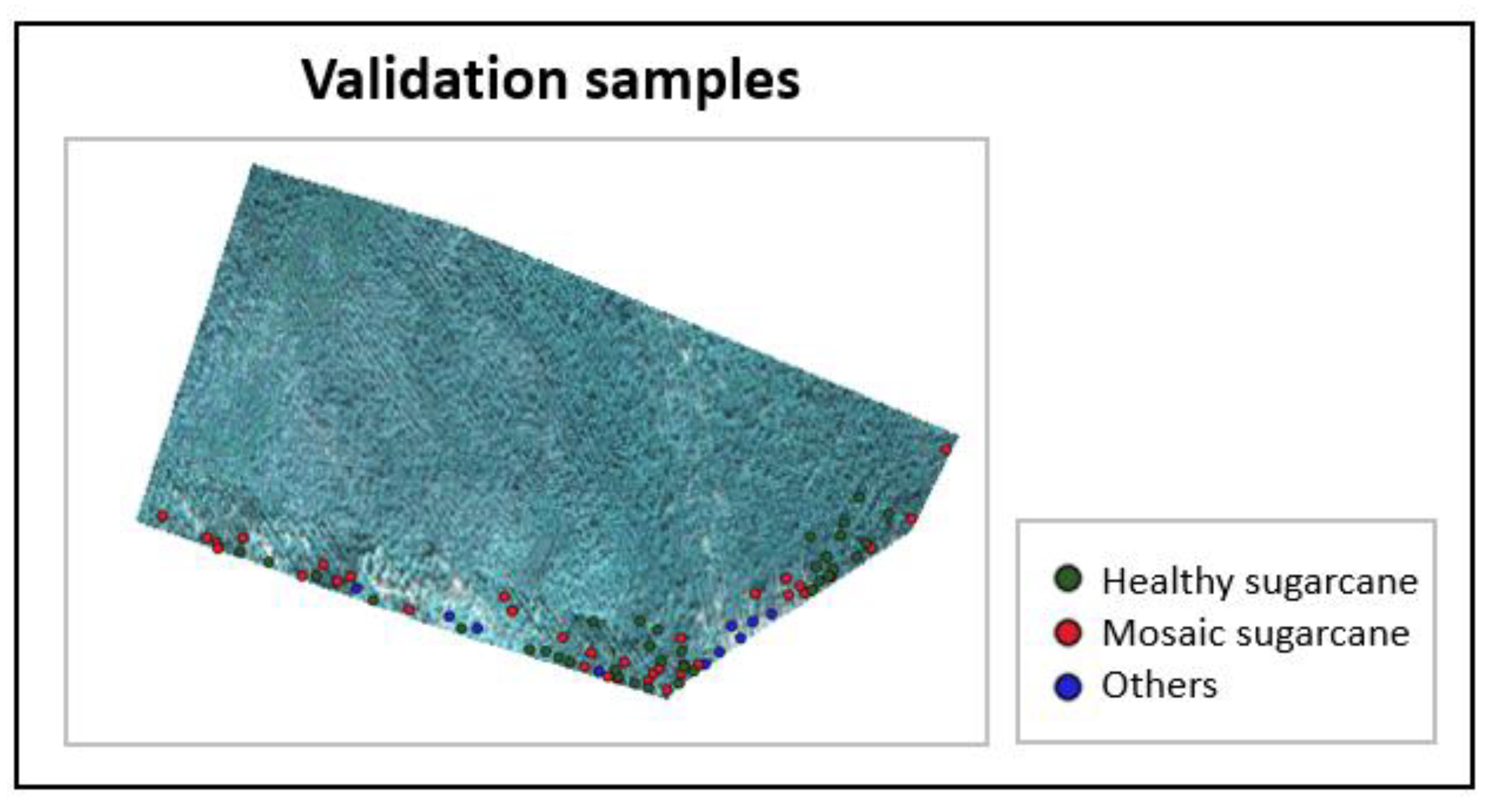 Agronomy 13 01542 g006