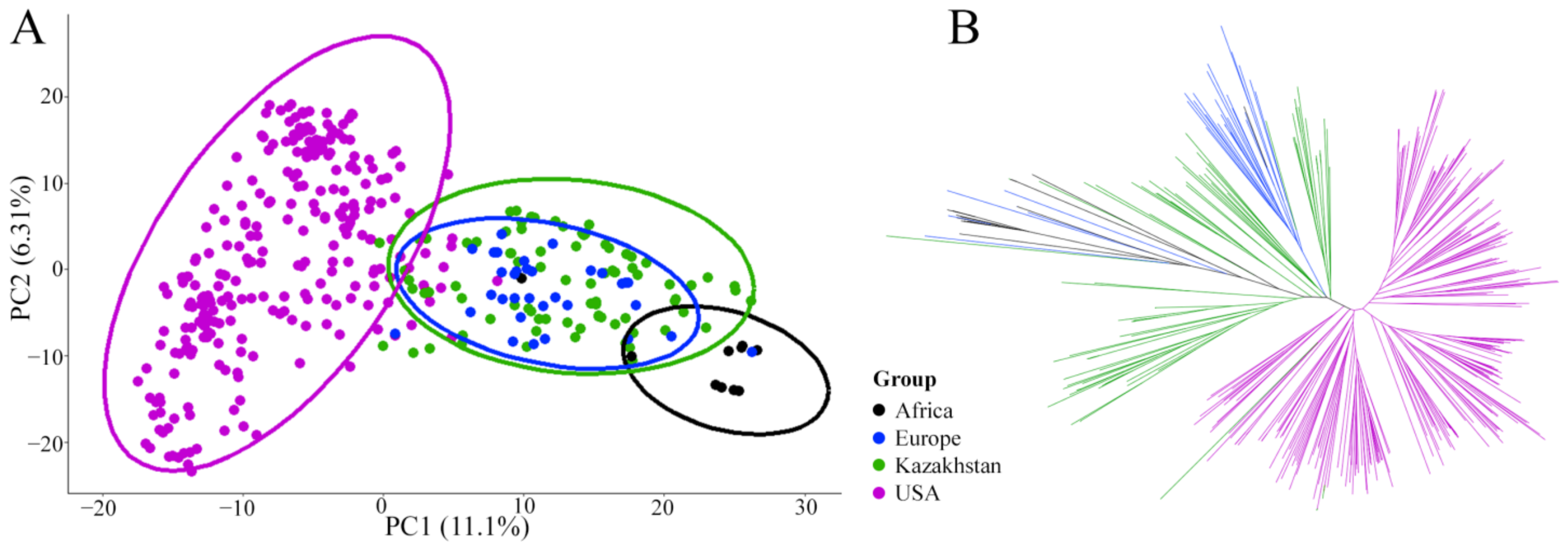 Agronomy 13 01560 g002 Agronomy 13 01560 g002