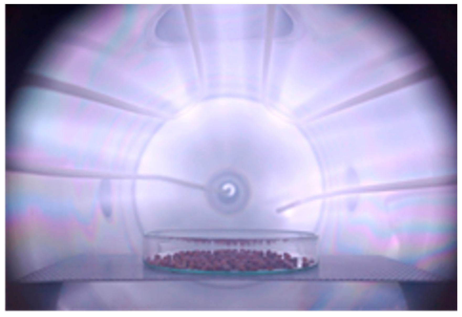 Agronomy 13 01579 g002