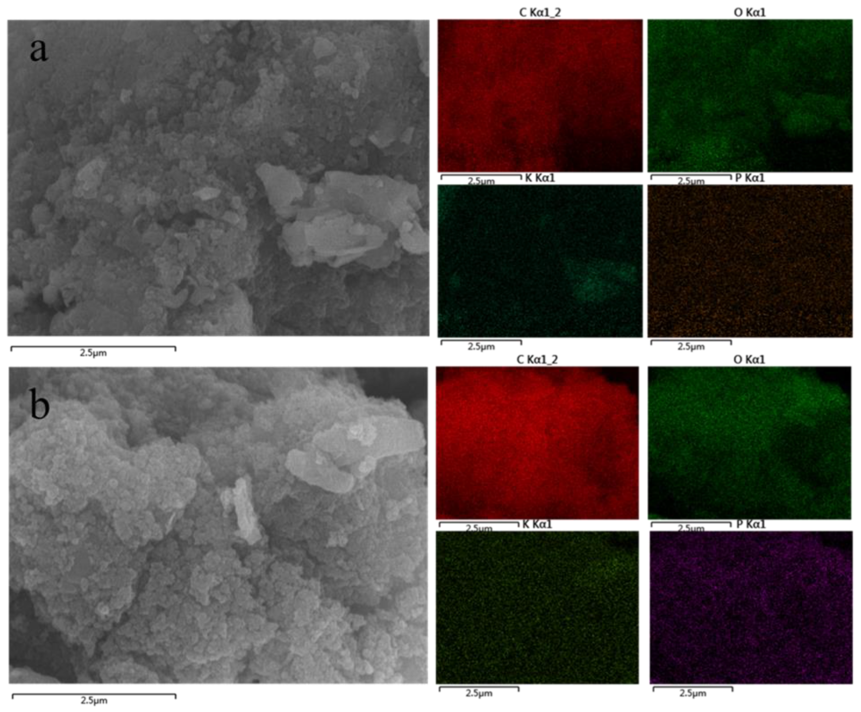 Agronomy 13 01581 g004 Agronomy 13 01581 g004