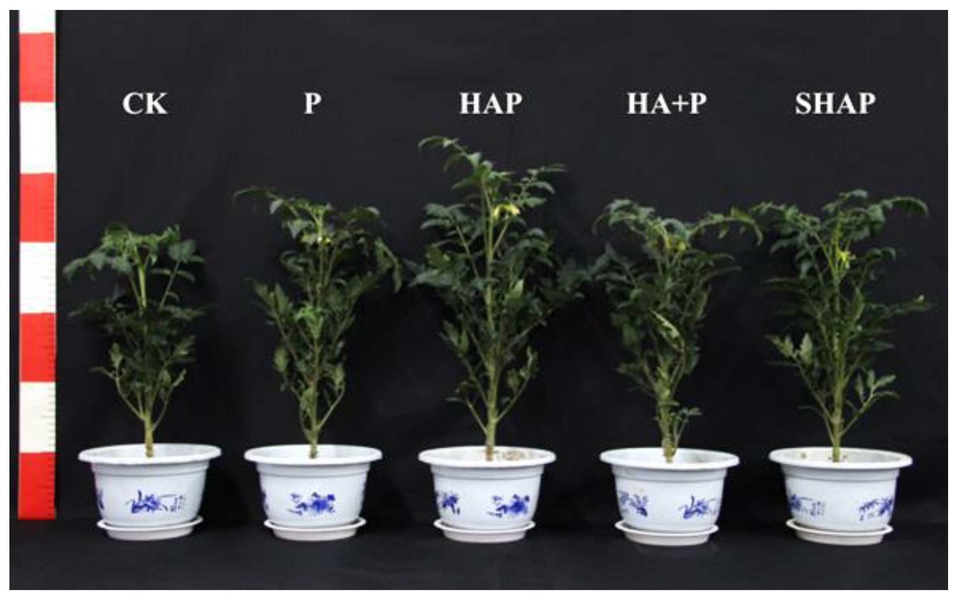 Agronomy 13 01581 g010 Agronomy 13 01581 g010