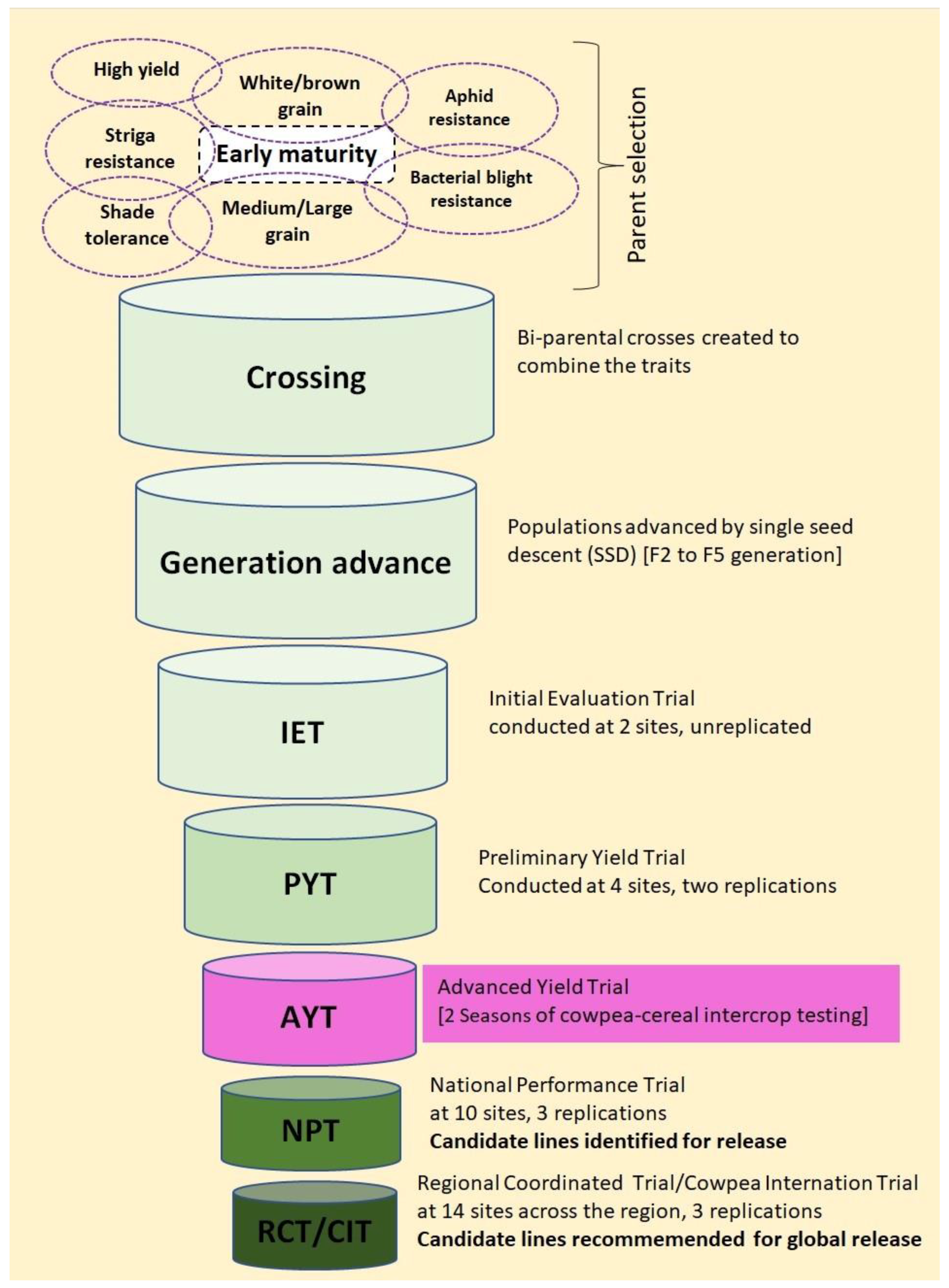 Agronomy 13 01594 g001