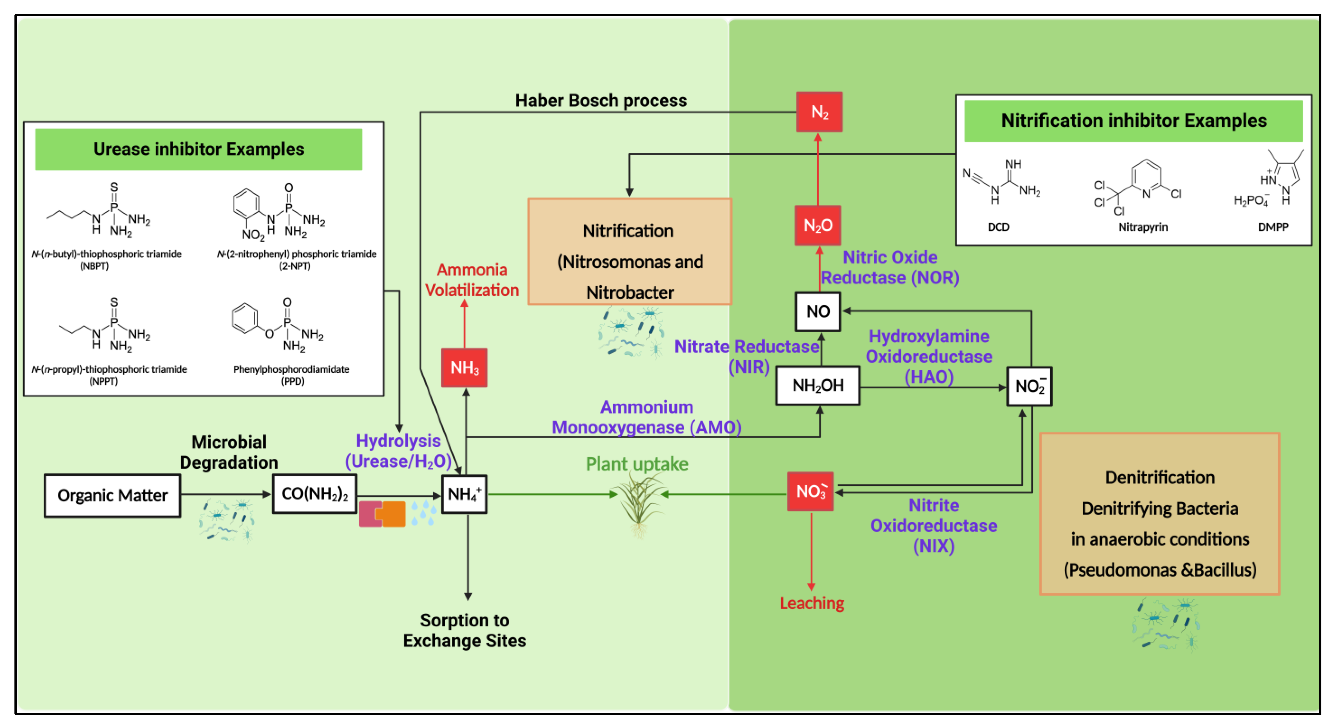 Agronomy 13 01603 g002