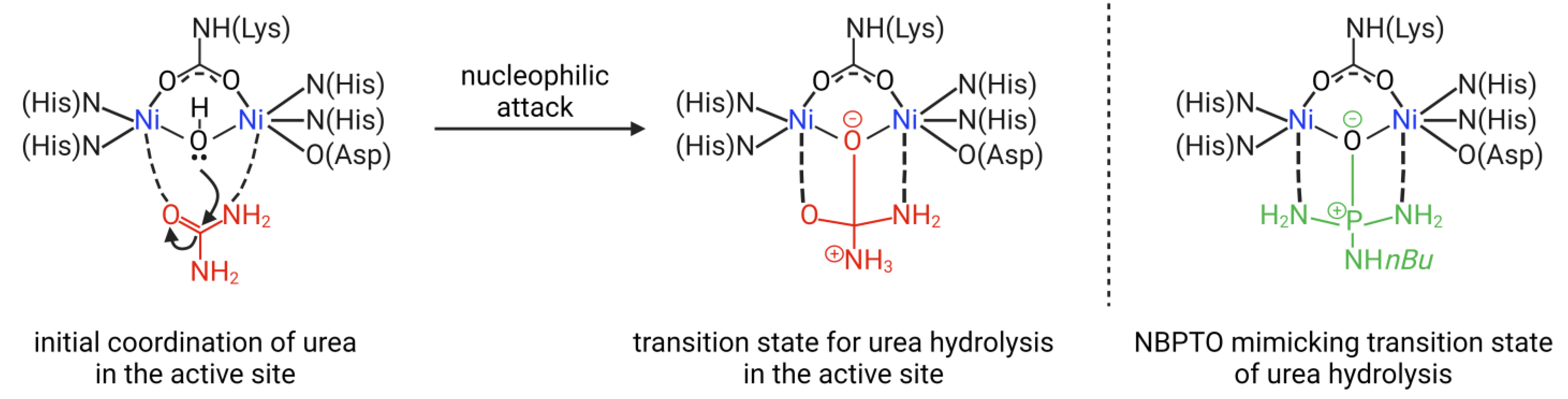 Agronomy 13 01603 g004