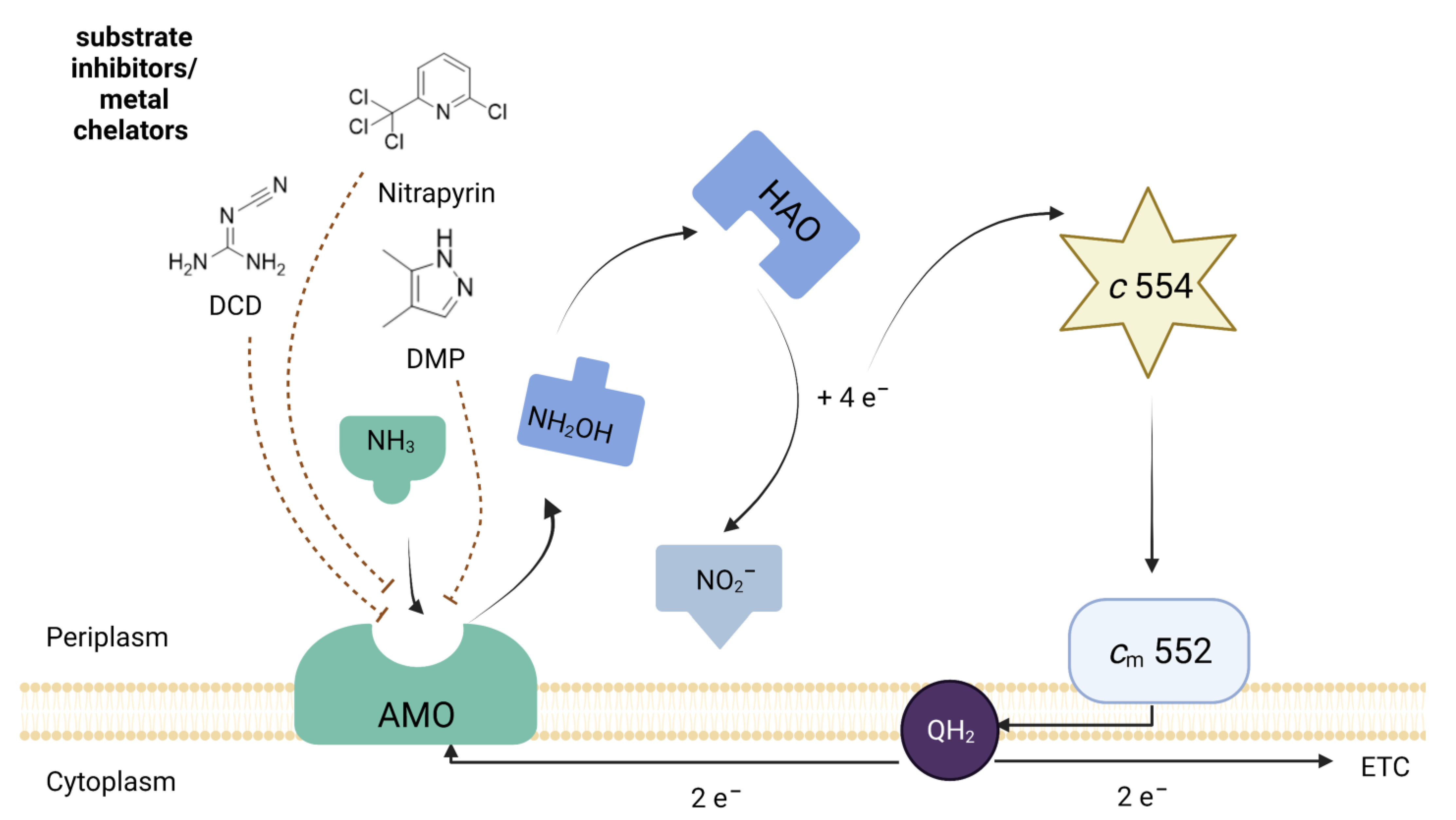 Agronomy 13 01603 g007