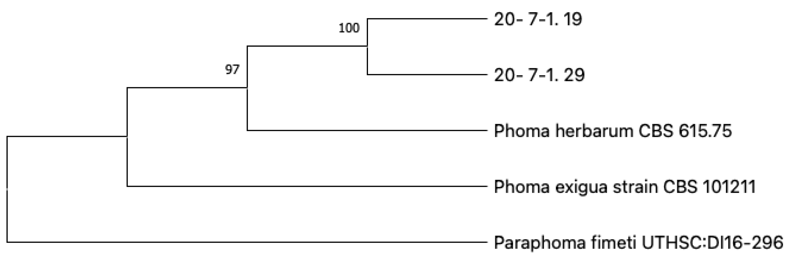 Agronomy 13 01619 g002 Agronomy 13 01619 g002