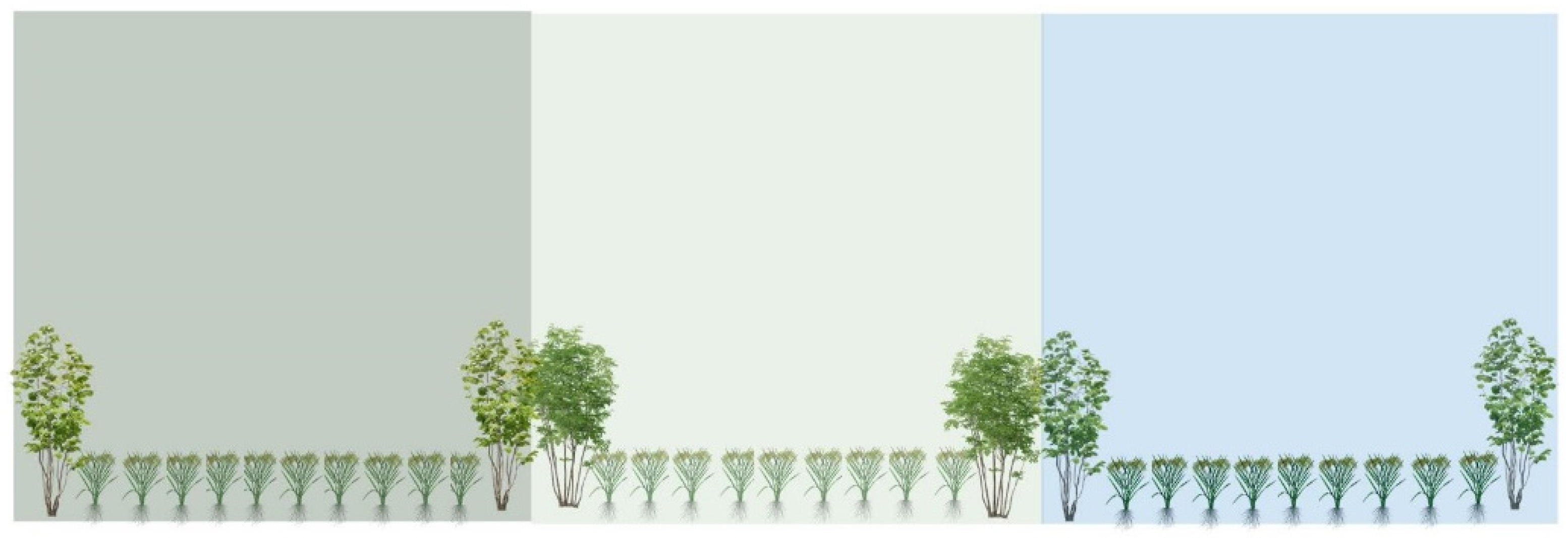 Agronomy 13 01622 g003