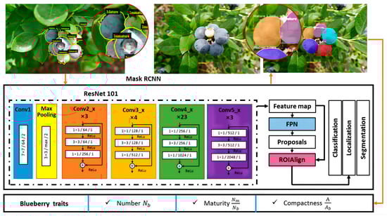 Agronomy 13 01625 g019