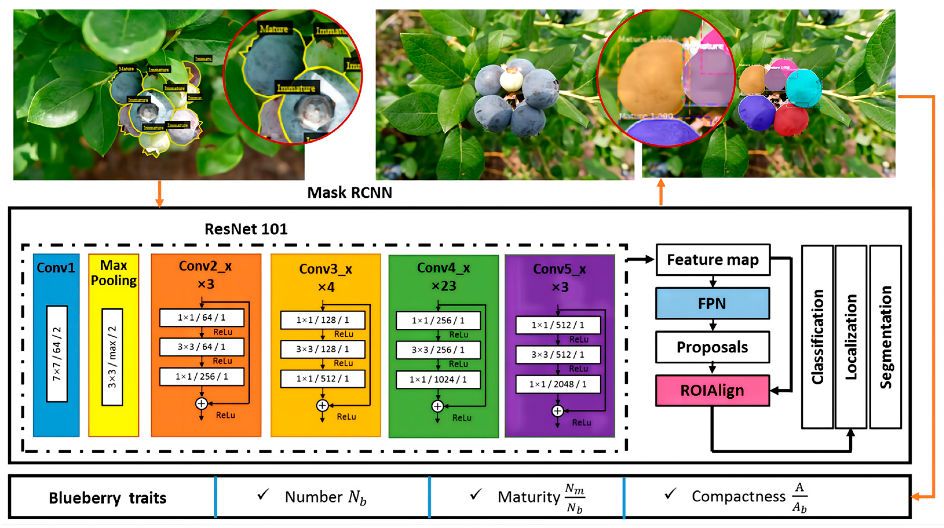 Agronomy 13 01625 g019 Agronomy 13 01625 g019